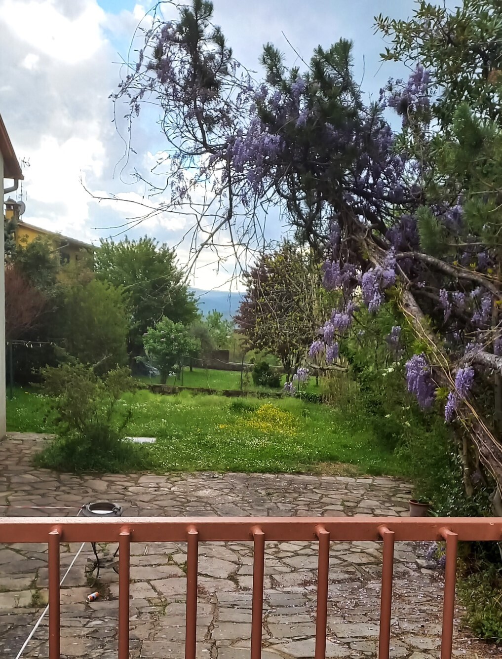 Foto annuncio 3