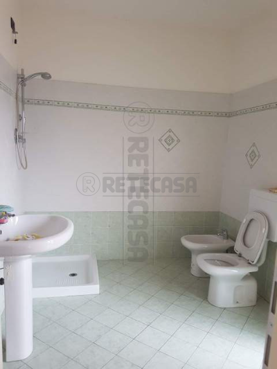 Foto annuncio 7