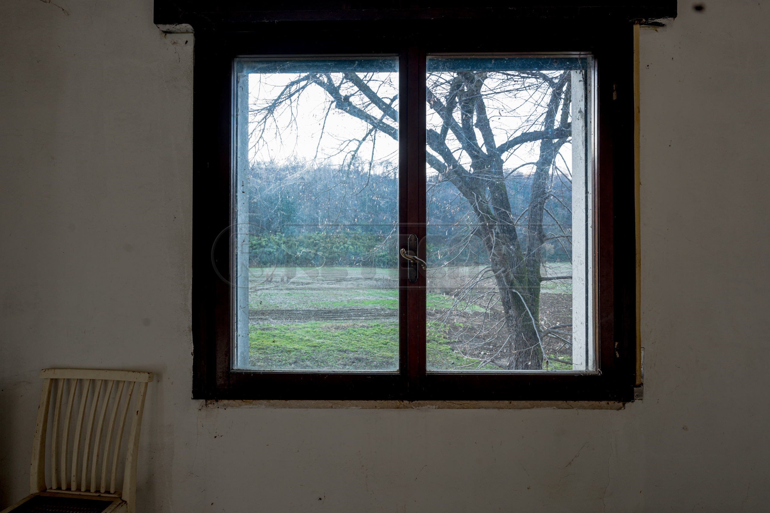 Immagine 11 di Porzione di casa in vendita  in Viale Riviera Berica 110 a Longare