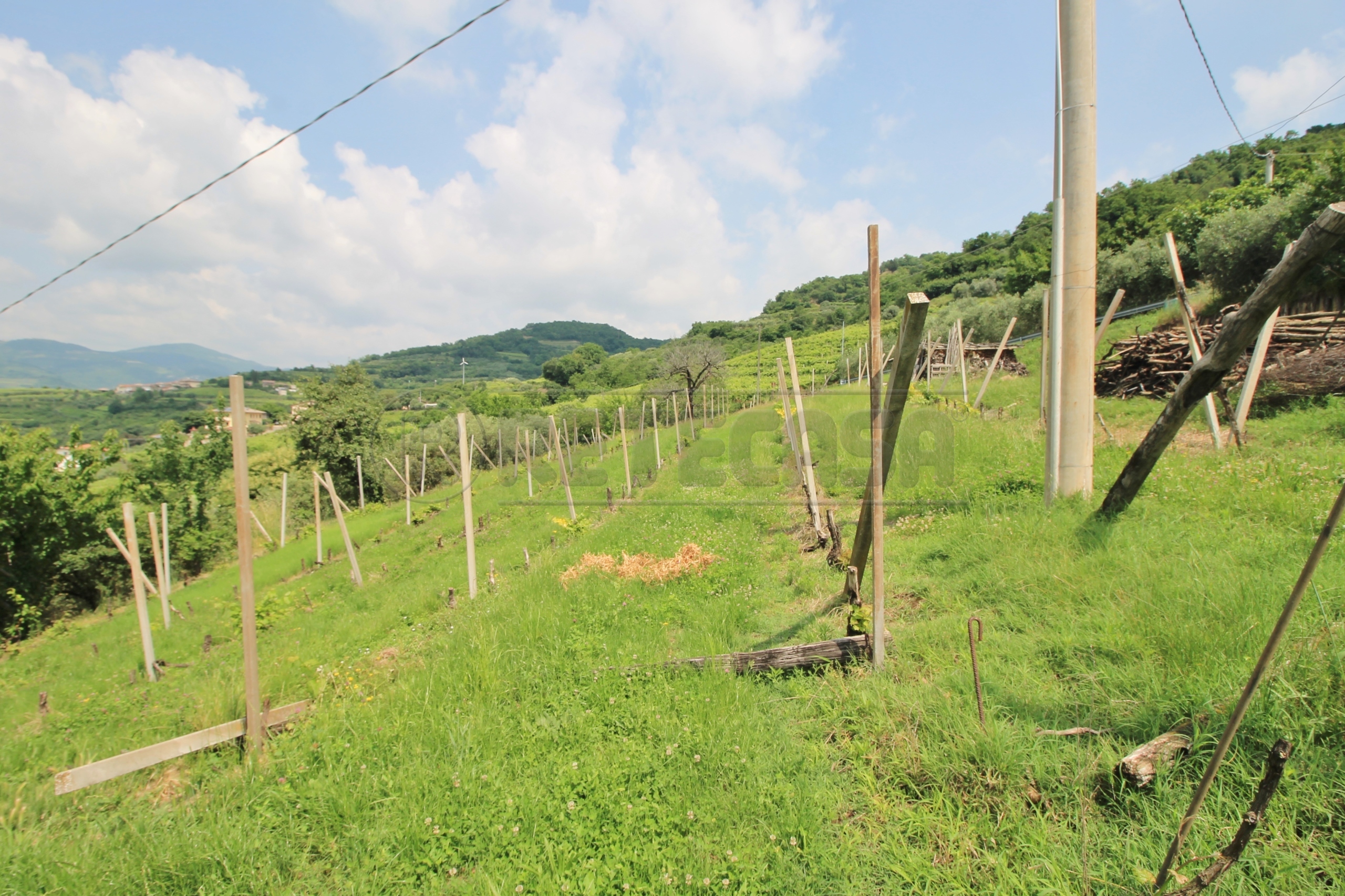 Immagine 30 di Rustico / casale in vendita  in Via Danesi di Sopra 50 a Montecchia Di Crosara