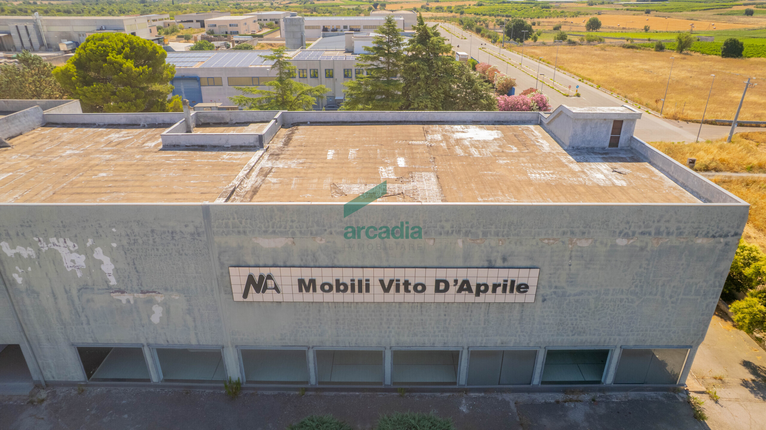 Foto annuncio 16