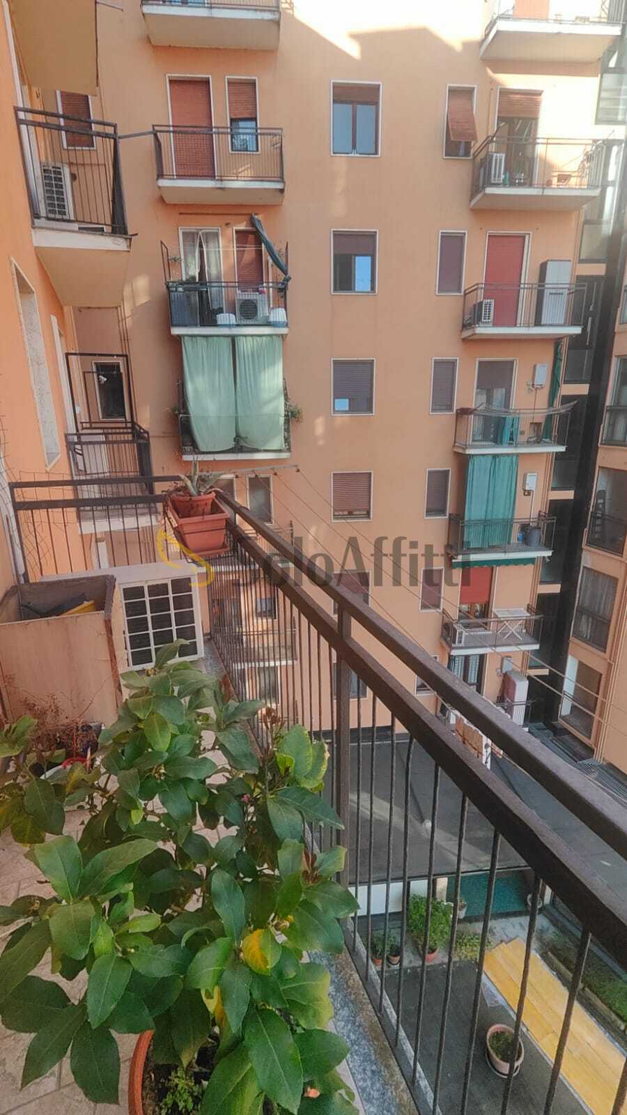 Foto annuncio 8