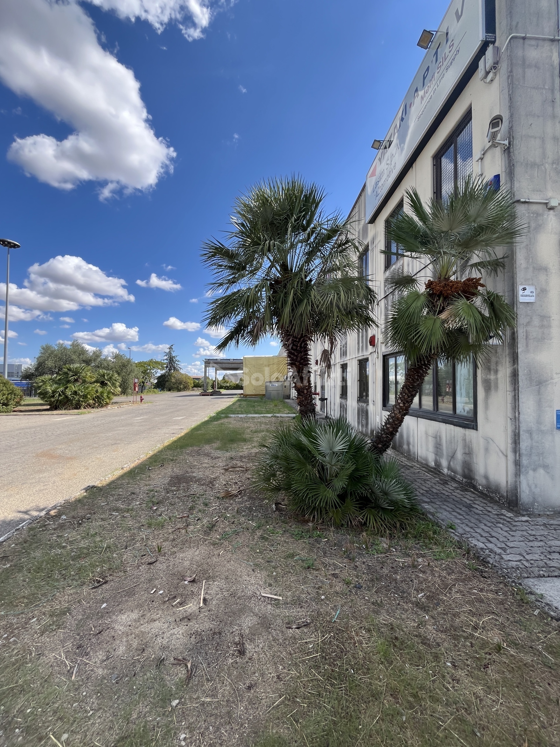 Immagine 5 di Capannone industriale in affitto  in ZONA INDUSTRIALE SAN NICOLA a Melfi