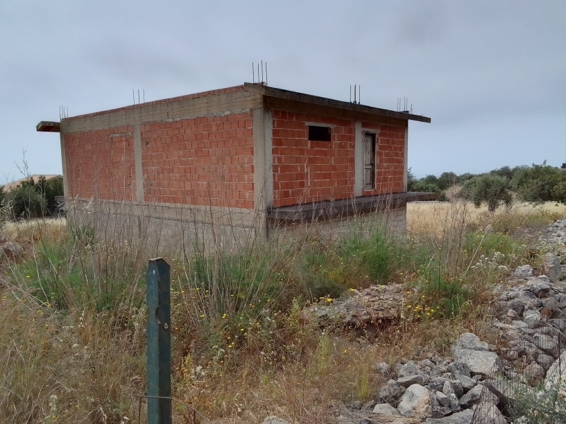 Foto annuncio 9