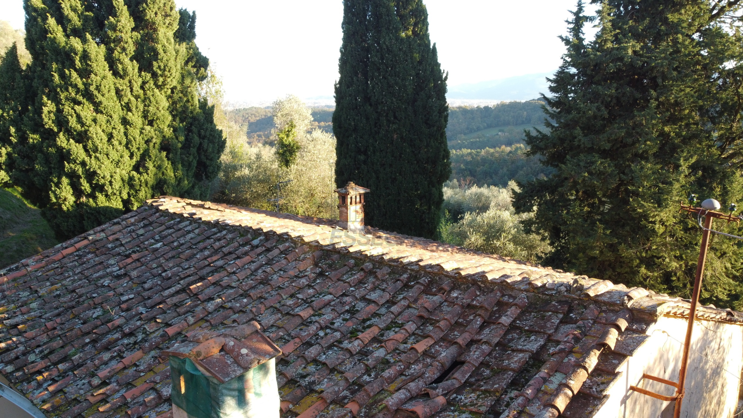 Foto annuncio 28
