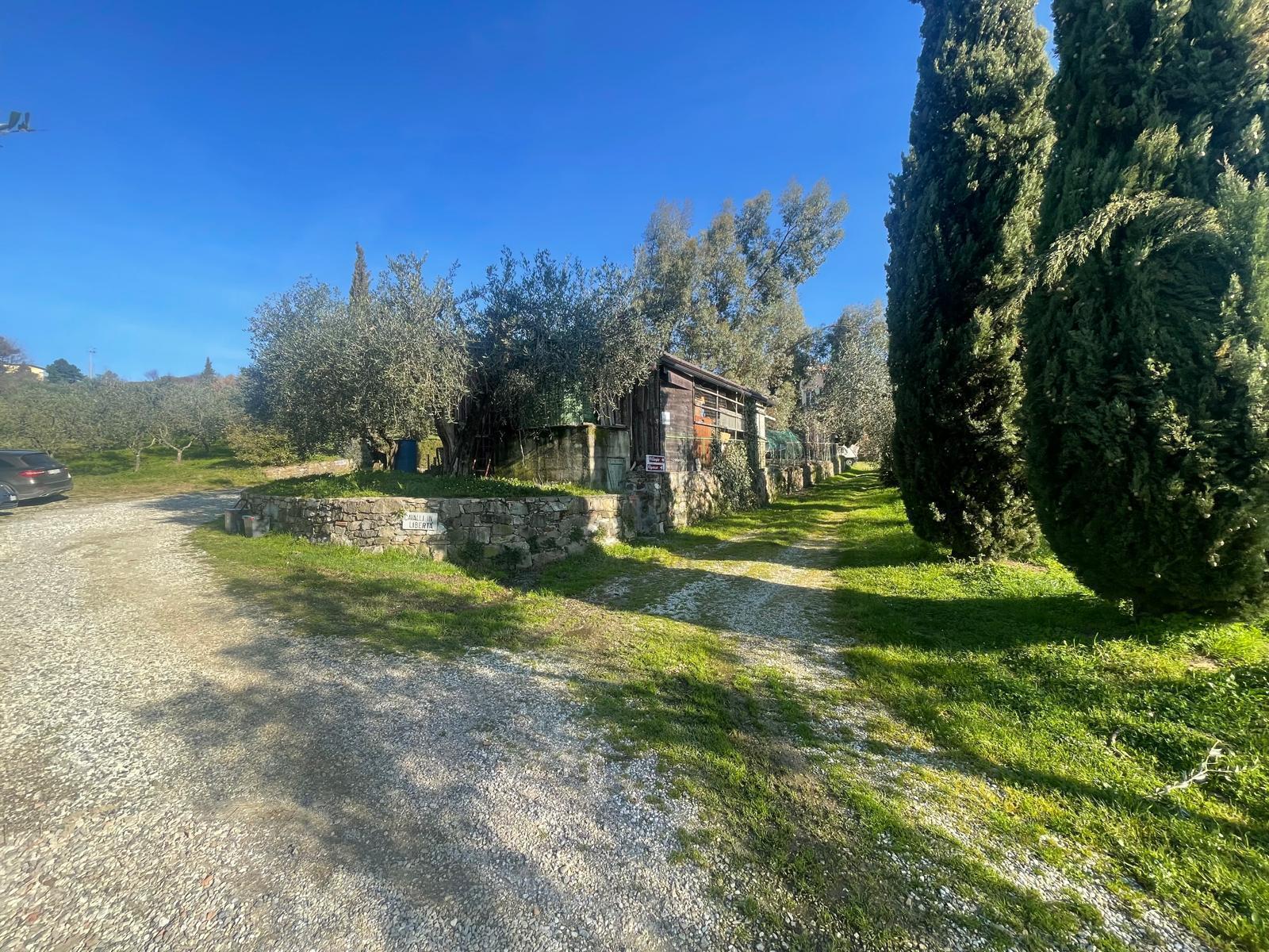 Immagine 17 di Rustico / casale in vendita  in Via dei bertolotti a Lucca