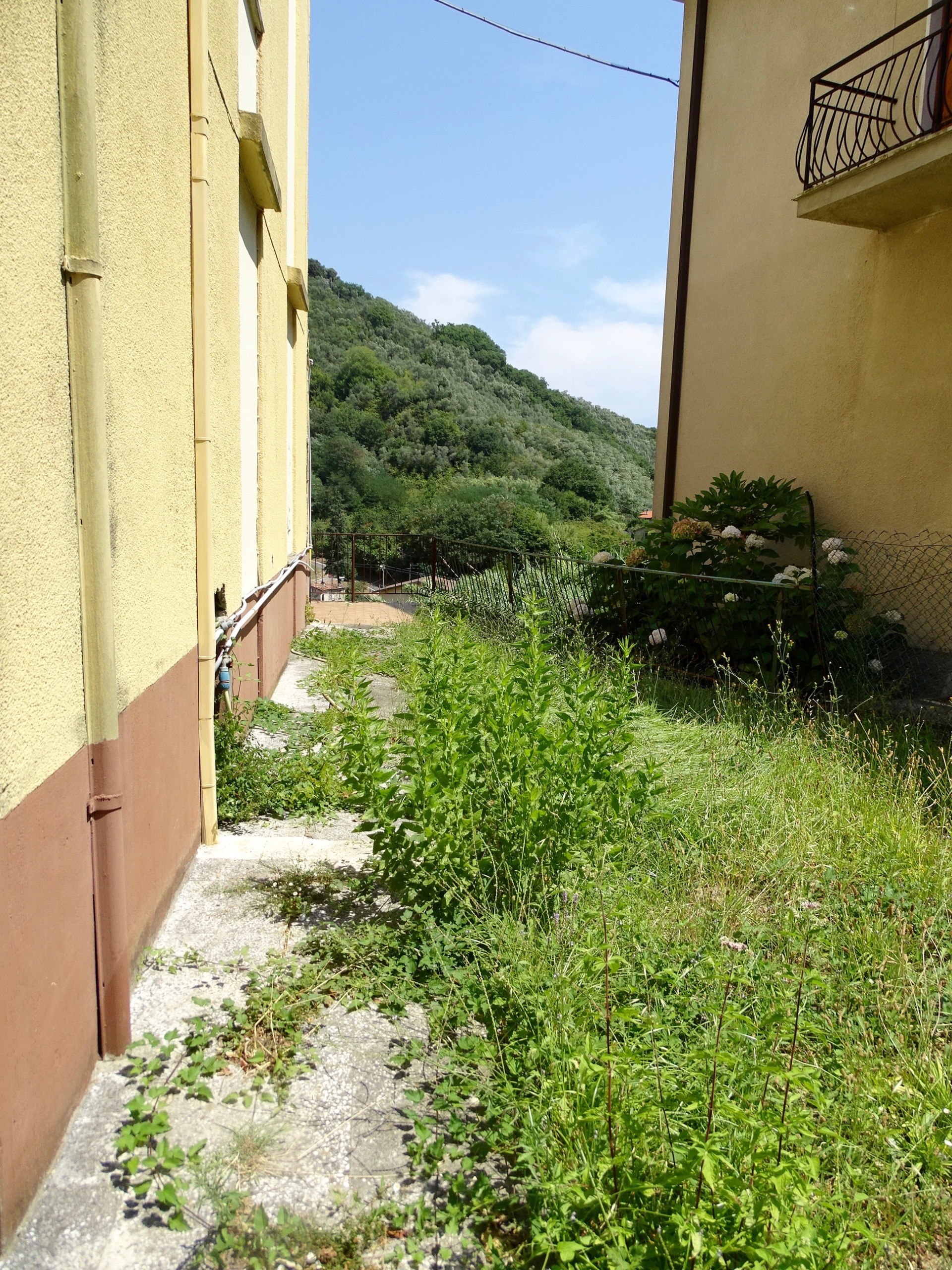 Immagine 2 di Quadrilocale in vendita  a Ameglia