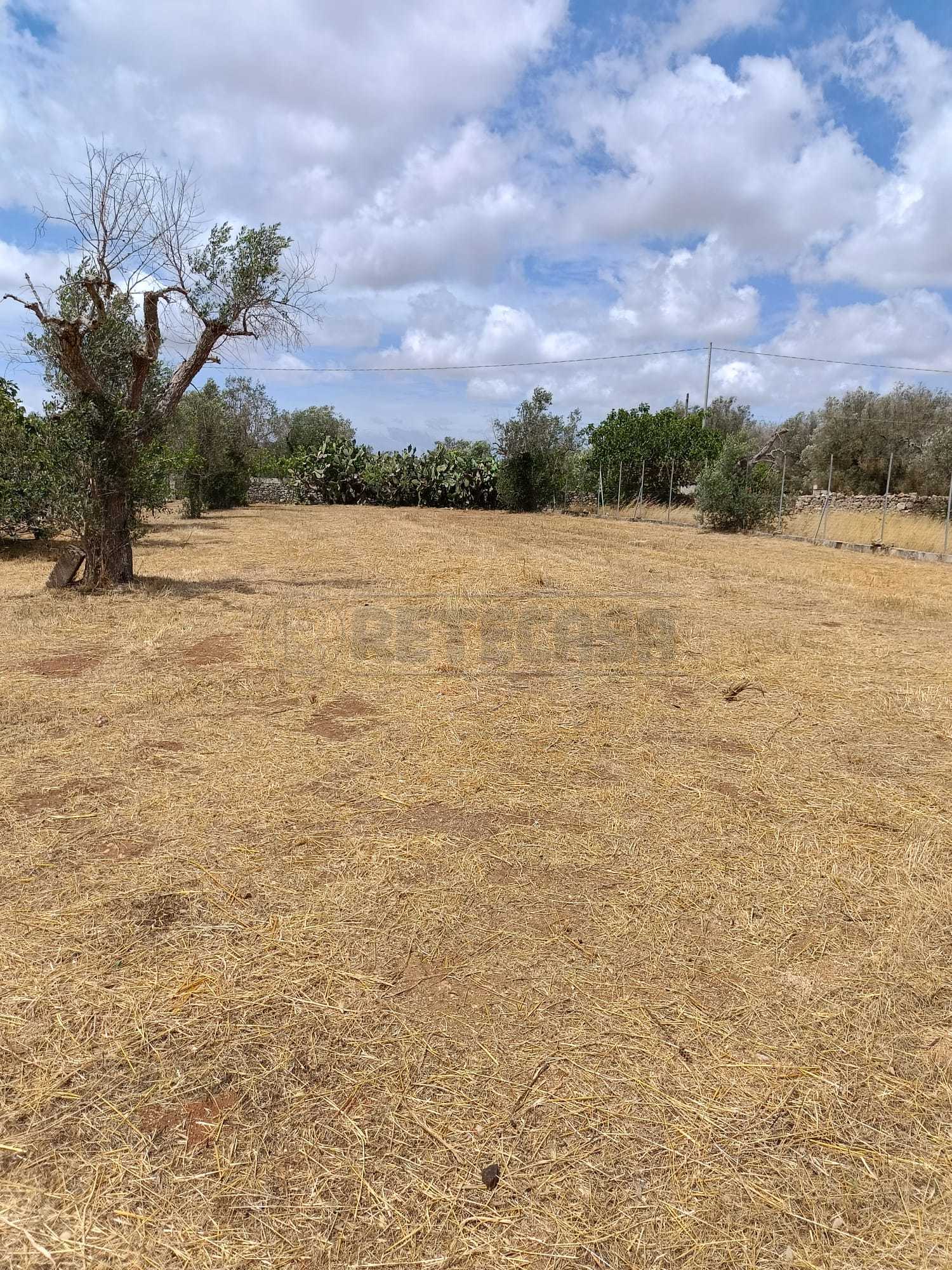 Immagine 2 di Terreno agricolo in vendita  a Corigliano D'otranto