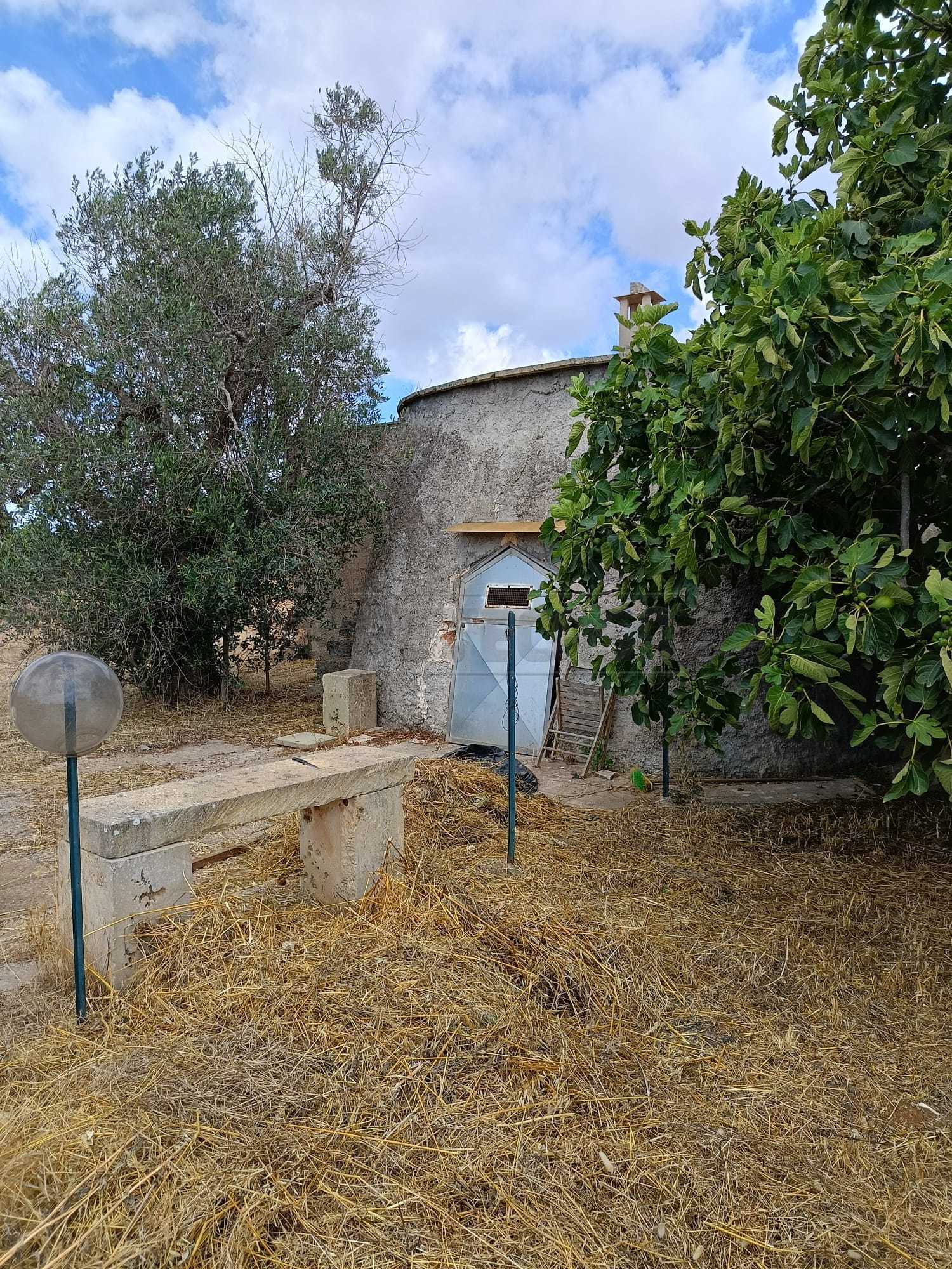 Immagine 4 di Terreno agricolo in vendita  a Corigliano D'otranto