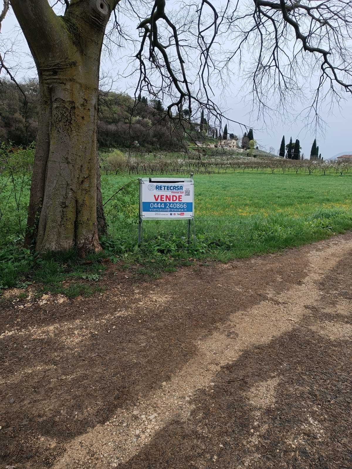 Immagine 2 di Terreno agricolo in vendita  a Castegnero