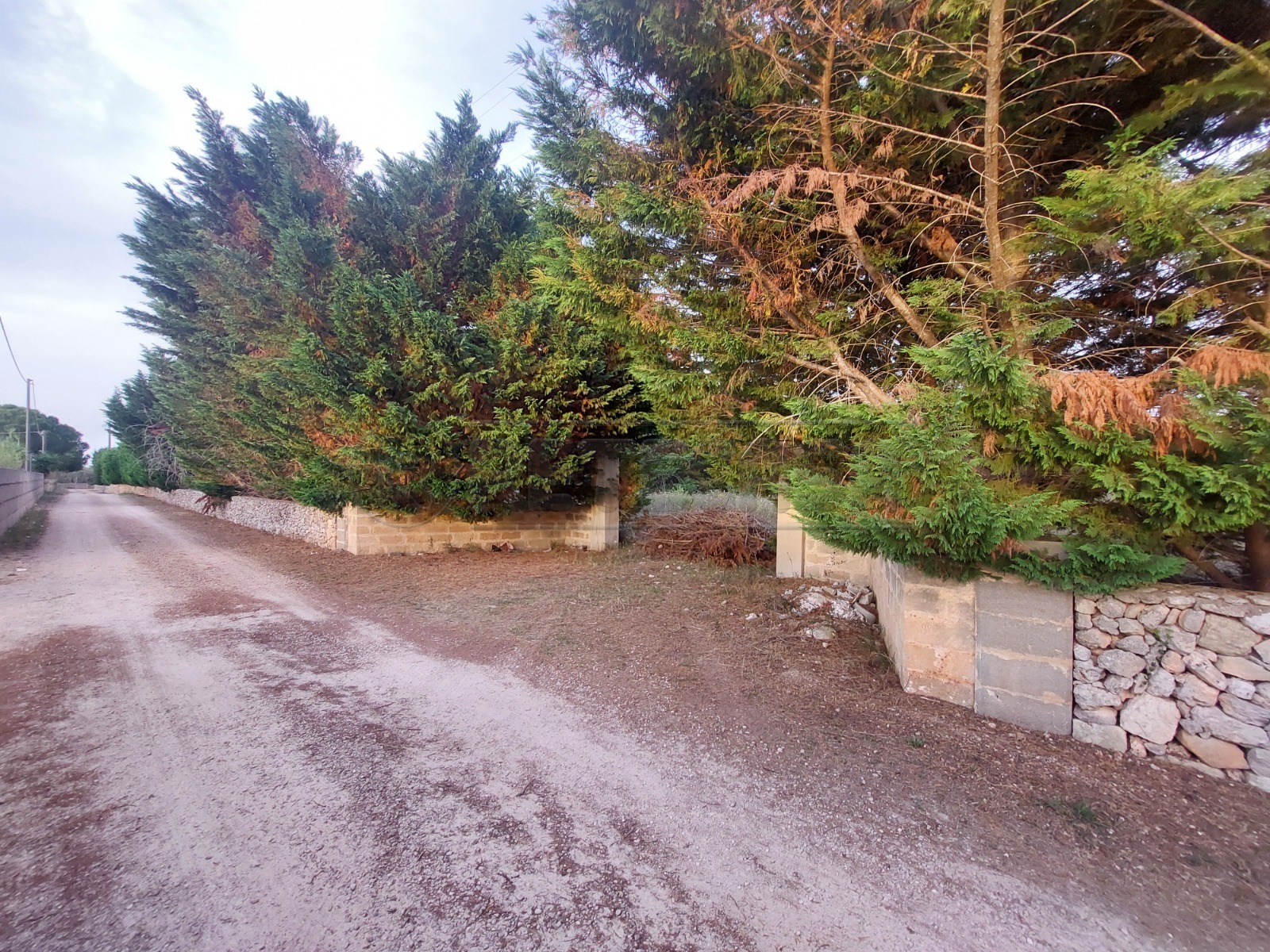 Immagine 1 di Terreno agricolo in vendita  in Contrada Maccallè a Muro Leccese