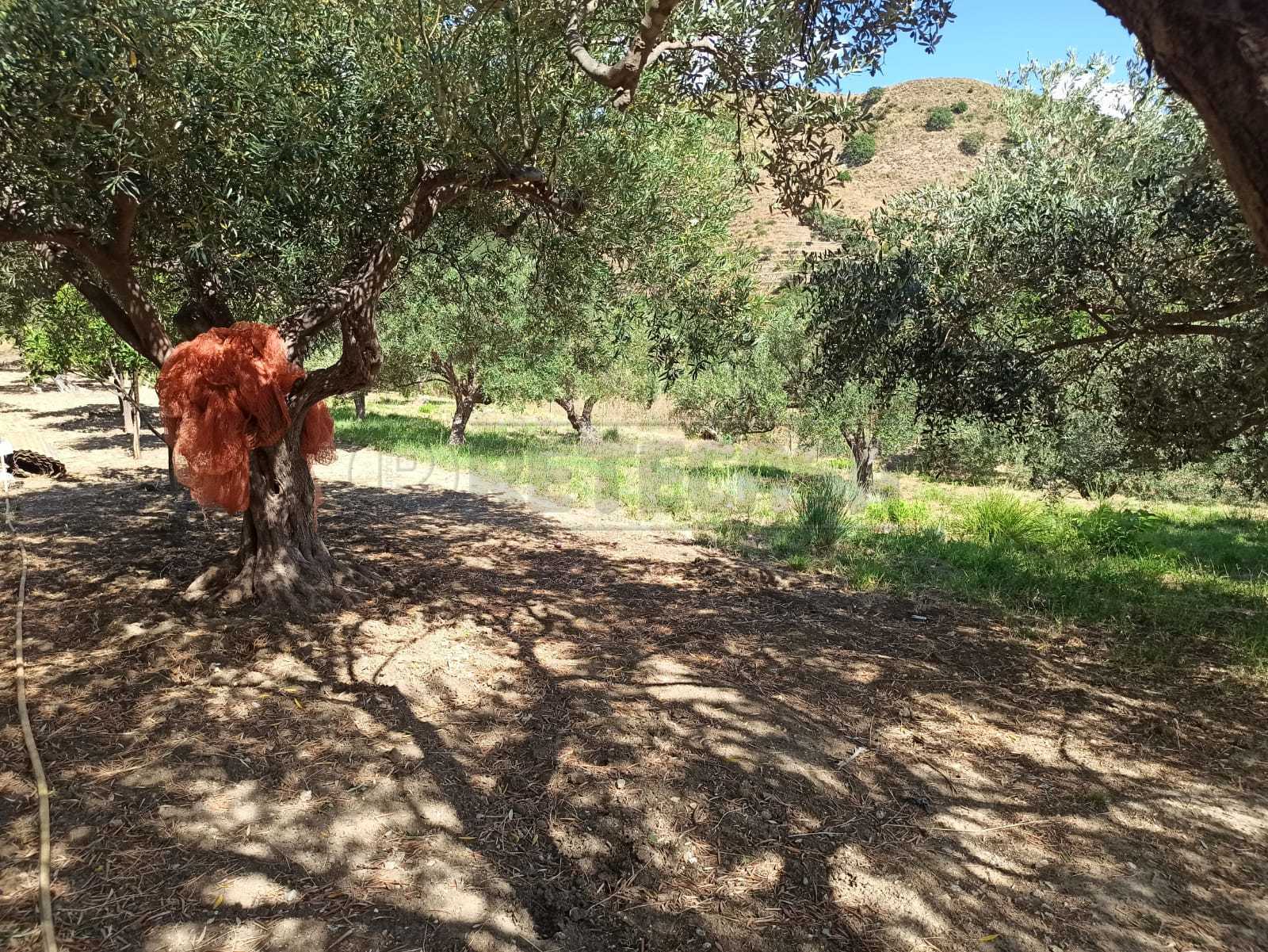 Immagine 22 di Rustico / casale in vendita  in Contrada Sant'Anna 39 a Messina