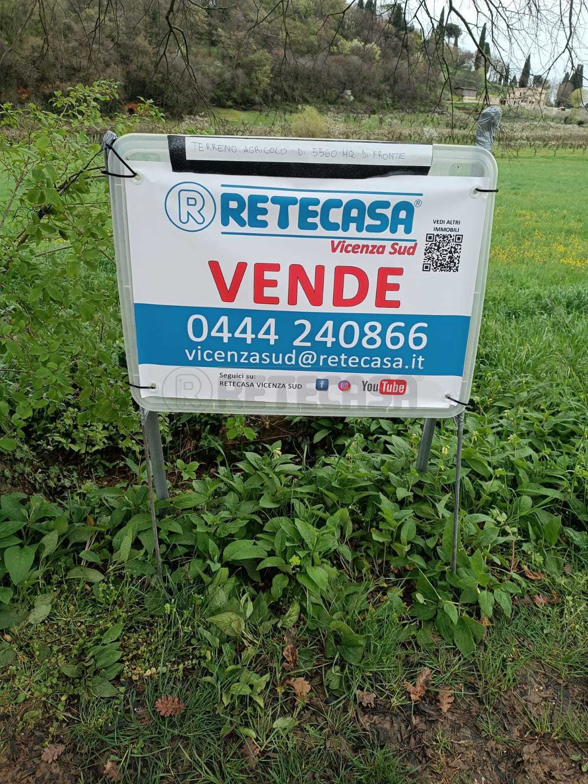 Immagine 3 di Terreno agricolo in vendita  a Castegnero