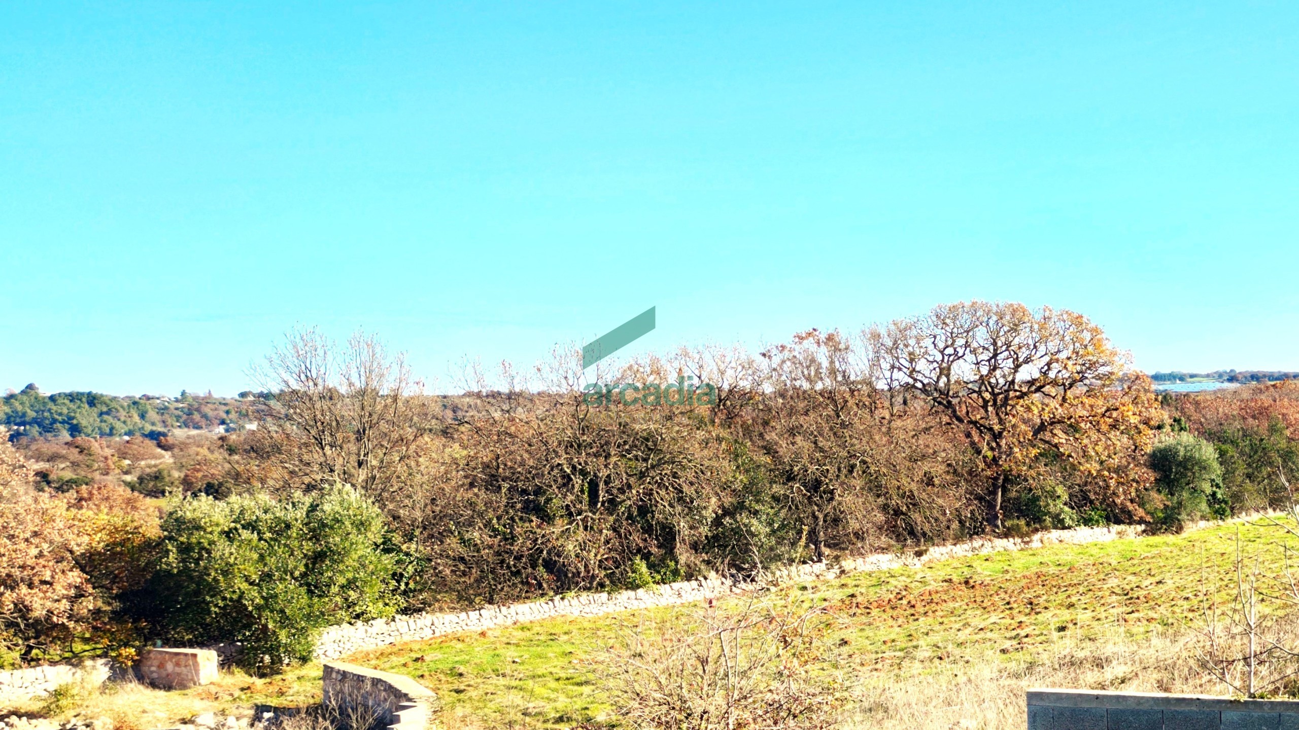 Immagine 22 di Casa indipendente in vendita  in Ex Strada Statale per Putignano 133 a Noci