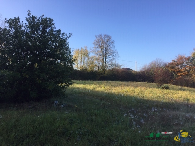 Immagine 4 di Terreno agricolo in vendita  in loc. Bezzo Bellini a Medesano