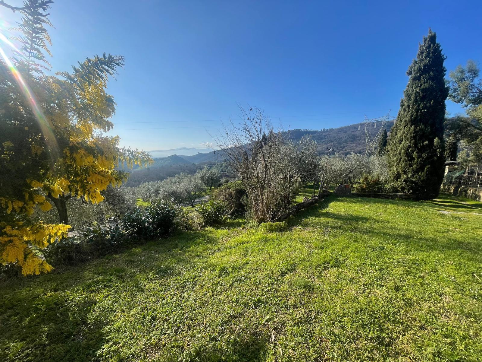 Immagine 9 di Rustico / casale in vendita  in Via dei bertolotti a Lucca