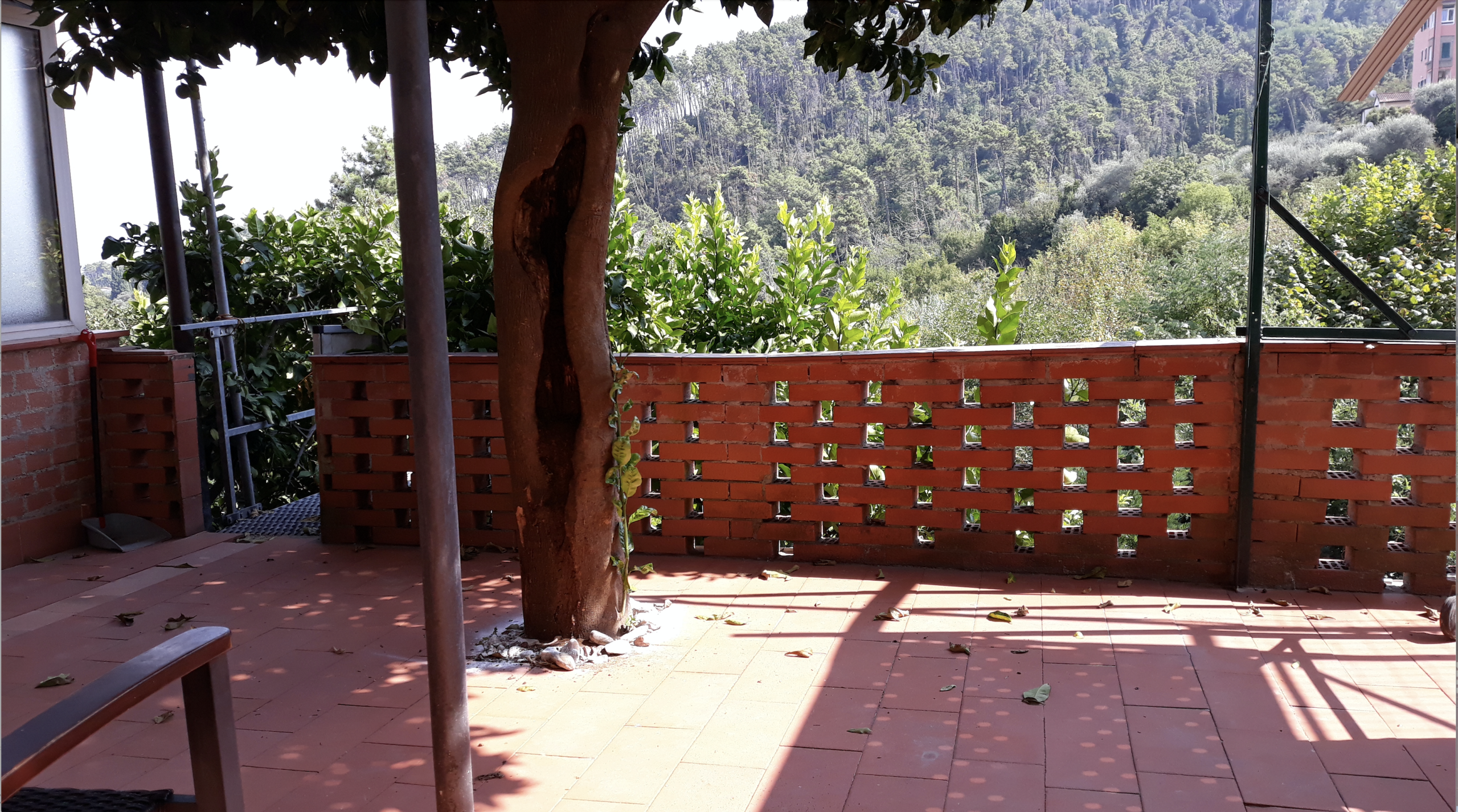 Immagine 15 di Casa indipendente in vendita  a Ameglia