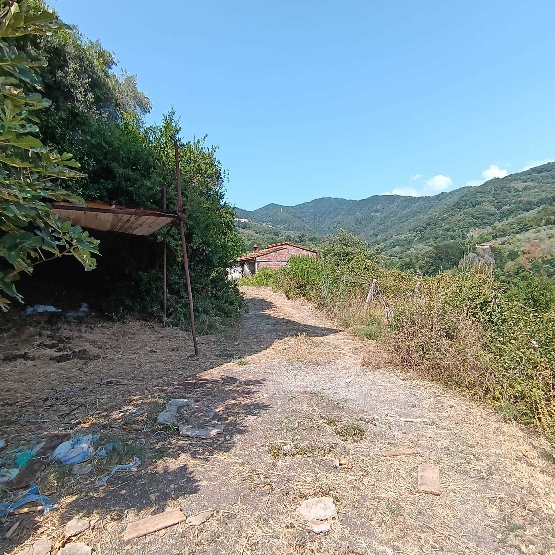 Immagine 13 di Rustico / casale in vendita  a Castelnuovo Magra