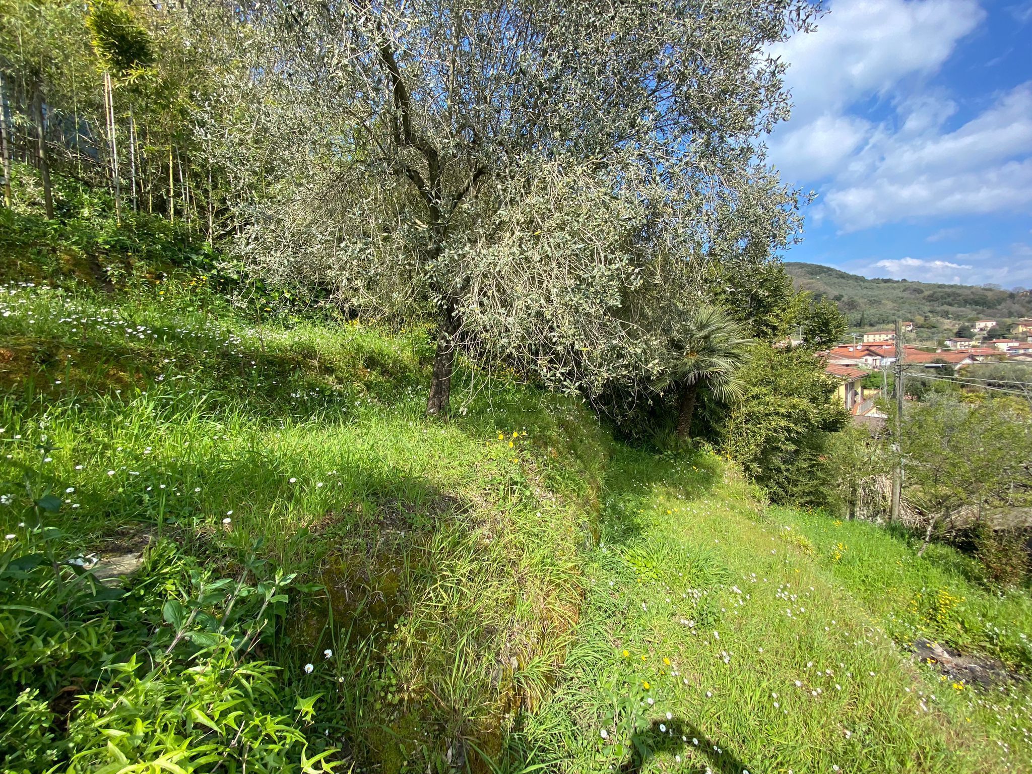 Immagine 10 di Porzione di casa in vendita  a Ameglia