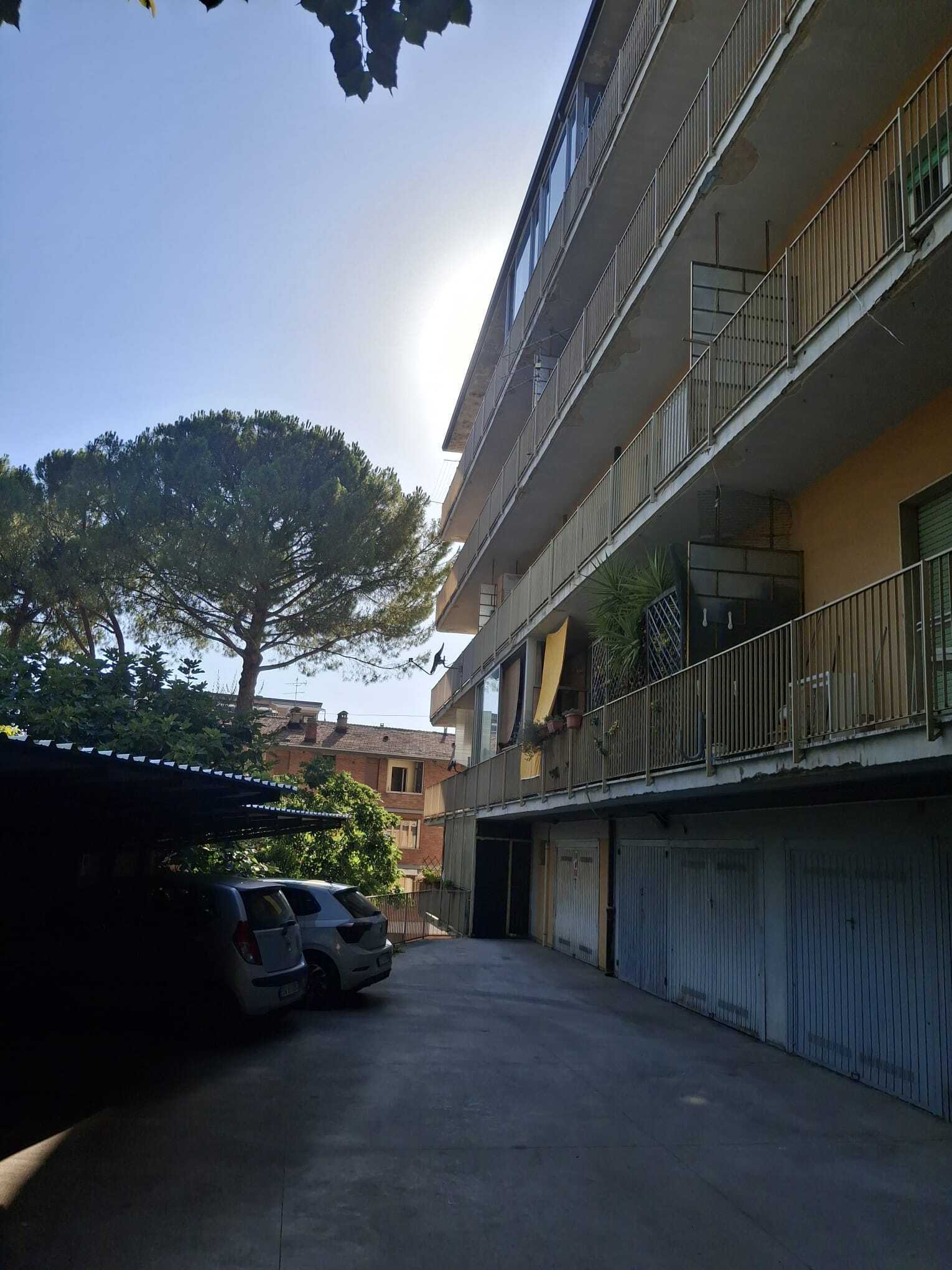 Foto annuncio 7