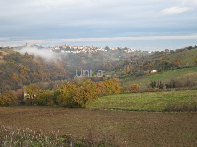 Foto annuncio 31