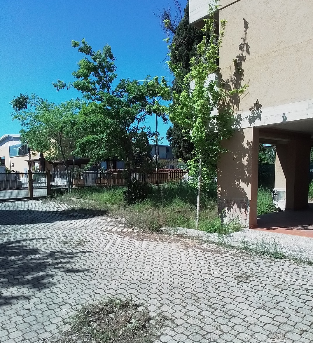 Foto annuncio 11
