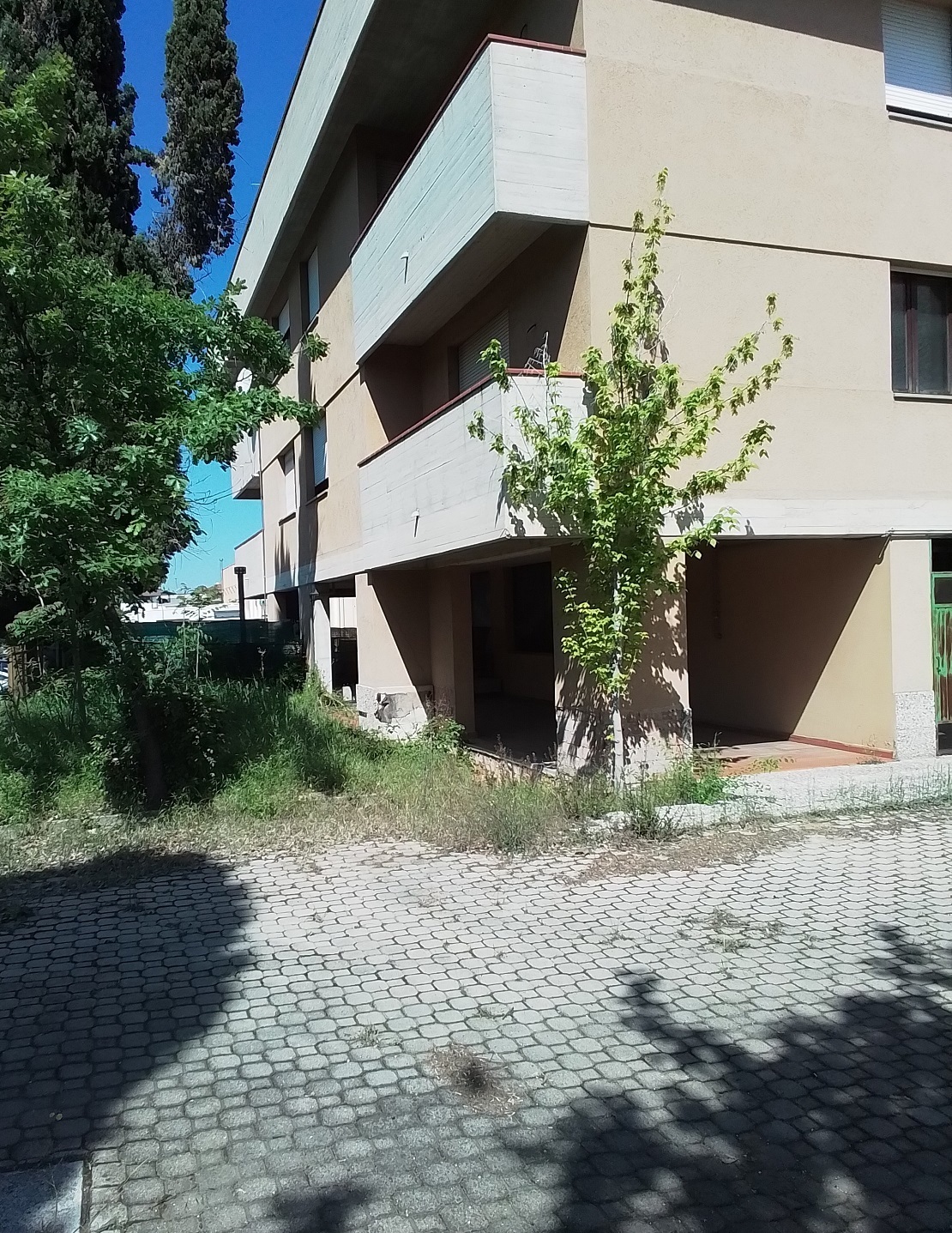 Foto annuncio 47