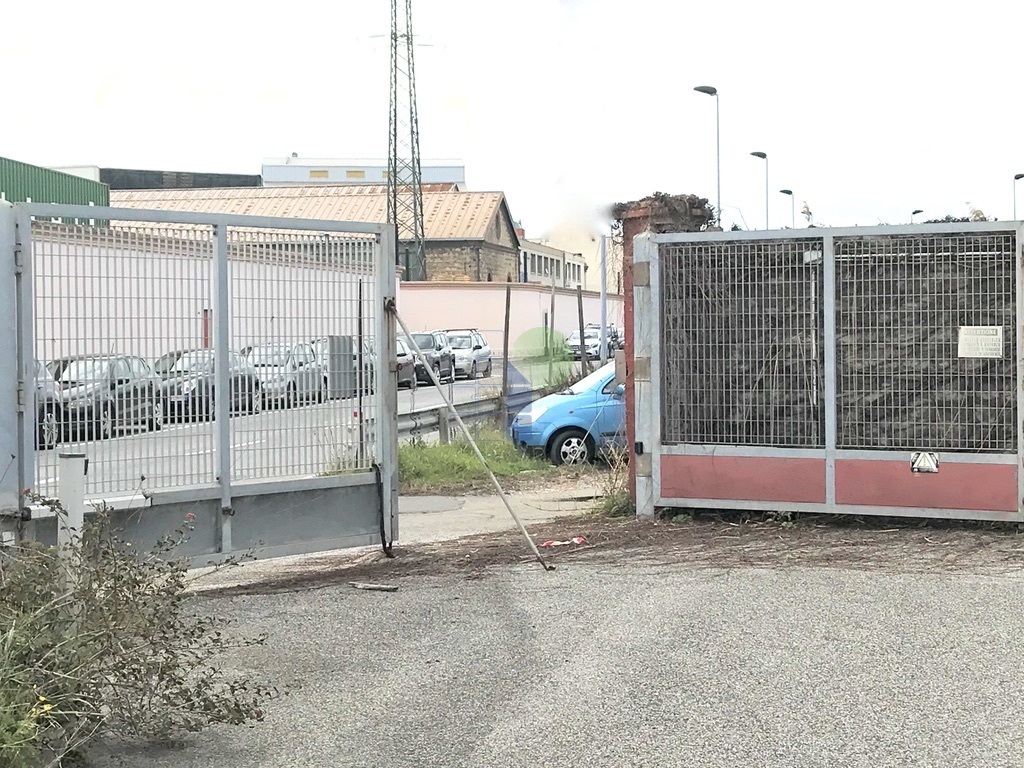 Foto annuncio 11
