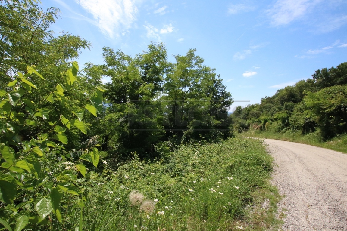 Immagine 18 di Terreno agricolo in vendita  in Via Castellaro a Castegnero