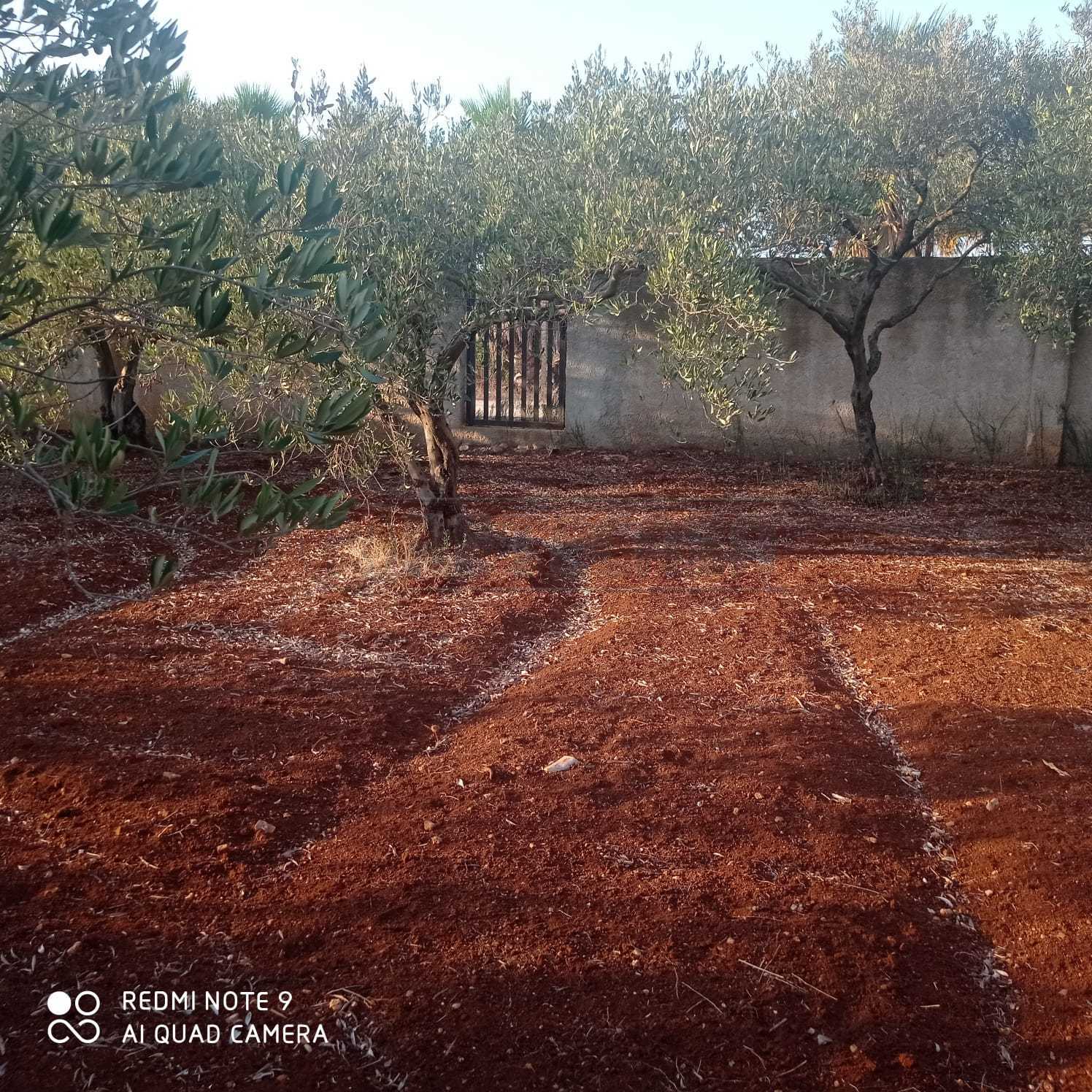 Immagine 4 di Villa in vendita  a Mazara Del Vallo