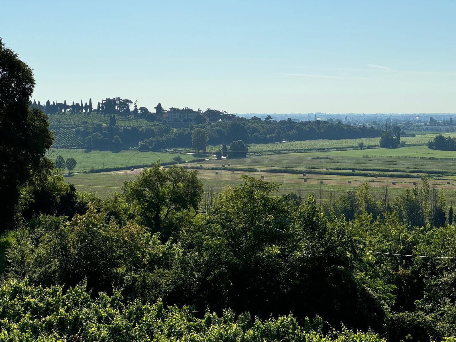 Immagine 7 di Terreno edificabile in vendita  in Via Giuseppe Garibladi a Barbarano Mossano