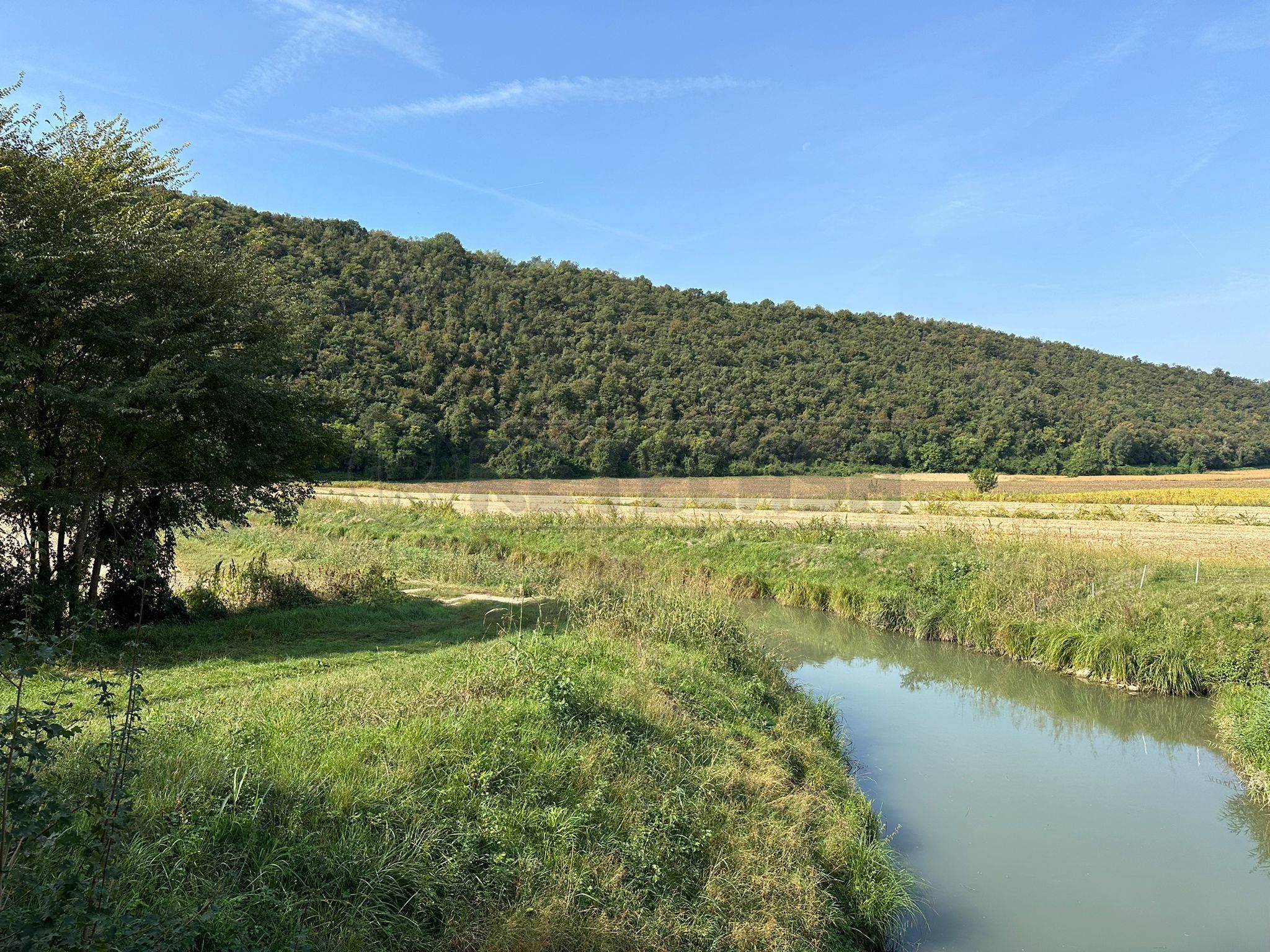 Immagine 5 di Terreno agricolo in vendita  in via san rocco a Arcugnano
