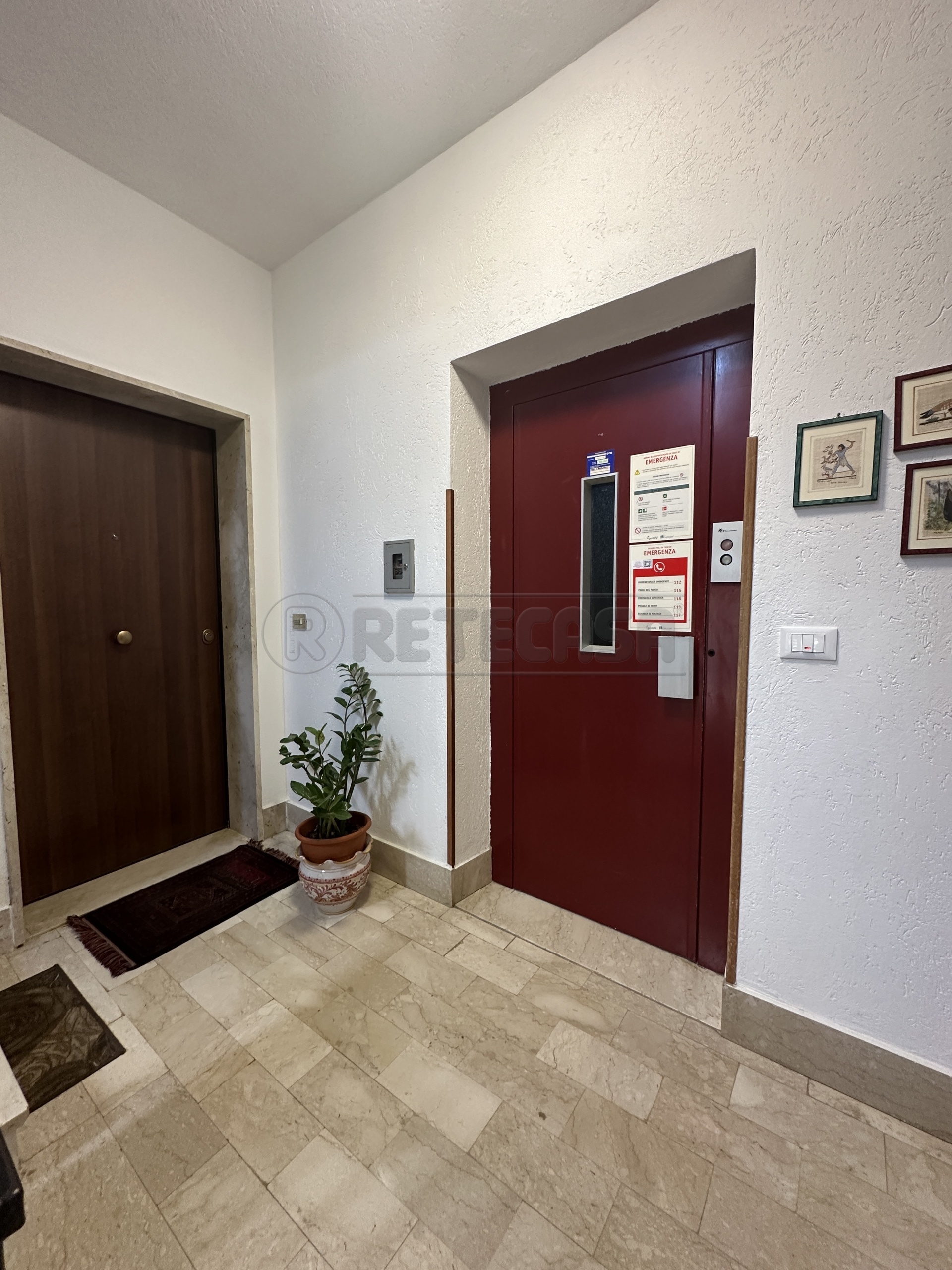 Immagine 3 di Appartamento in vendita  a Mazara Del Vallo