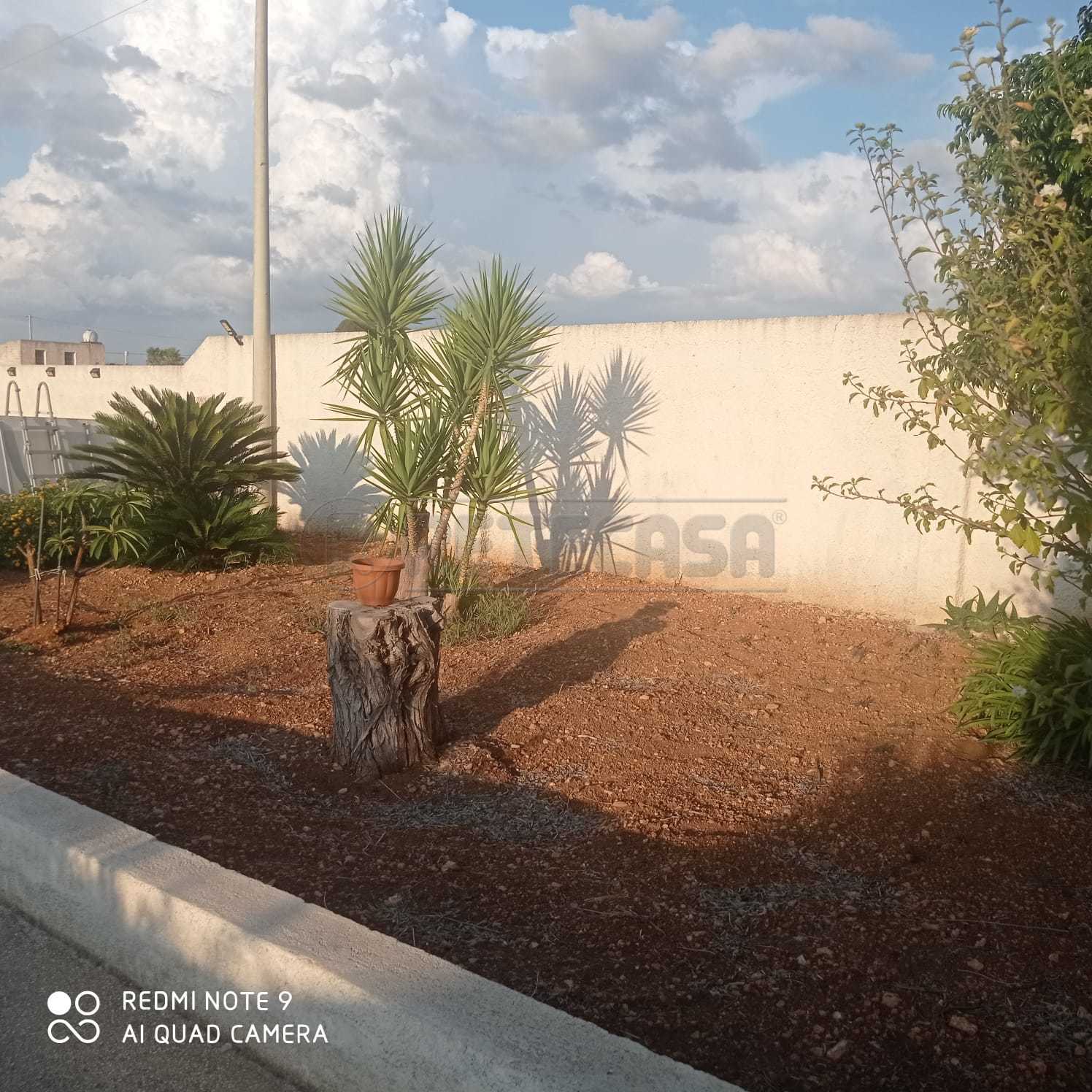 Immagine 2 di Villa in vendita  a Mazara Del Vallo