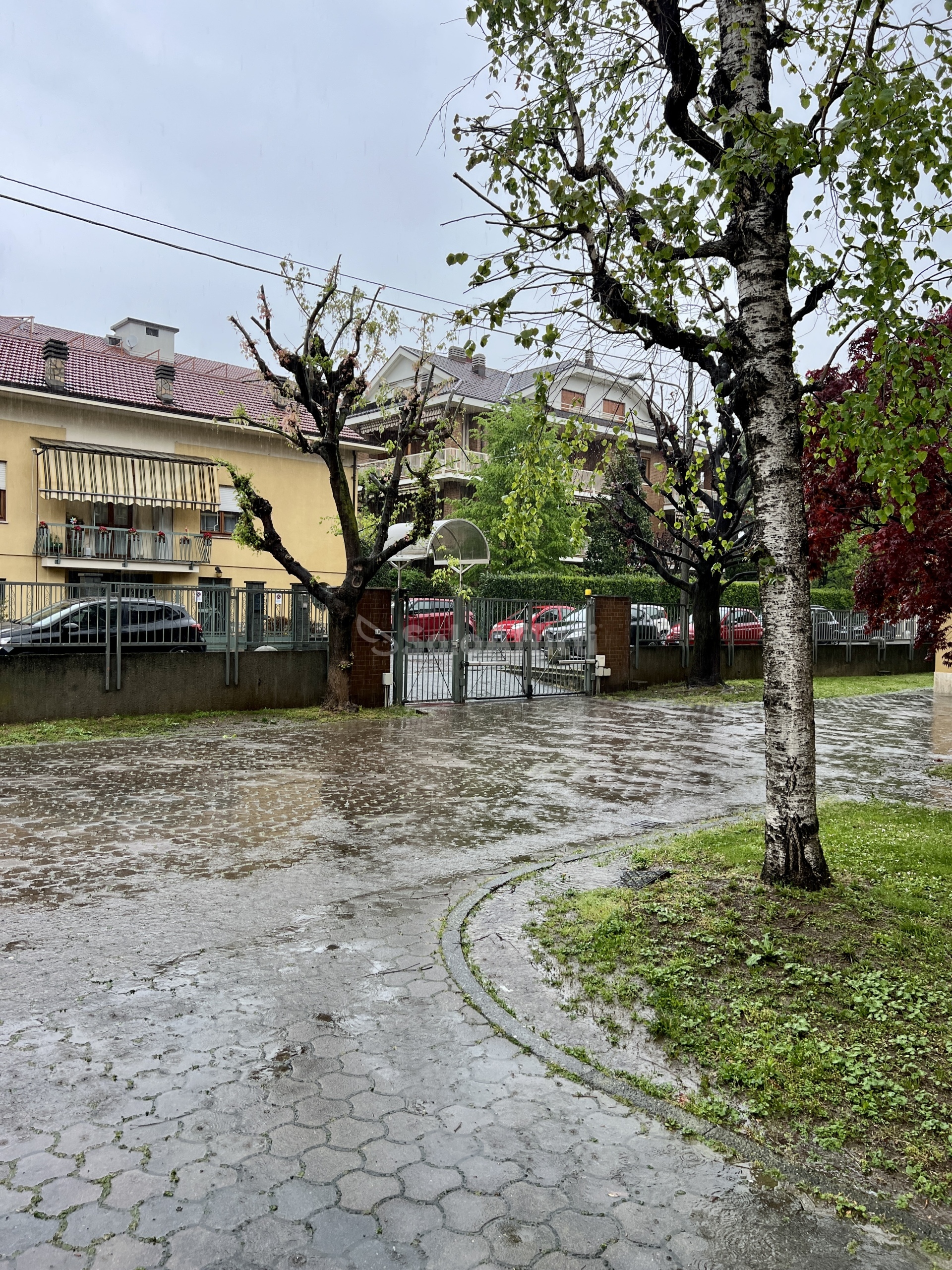 Immagine 5 di Quadrilocale in affitto  in Via Buratto 7 a Ciriè