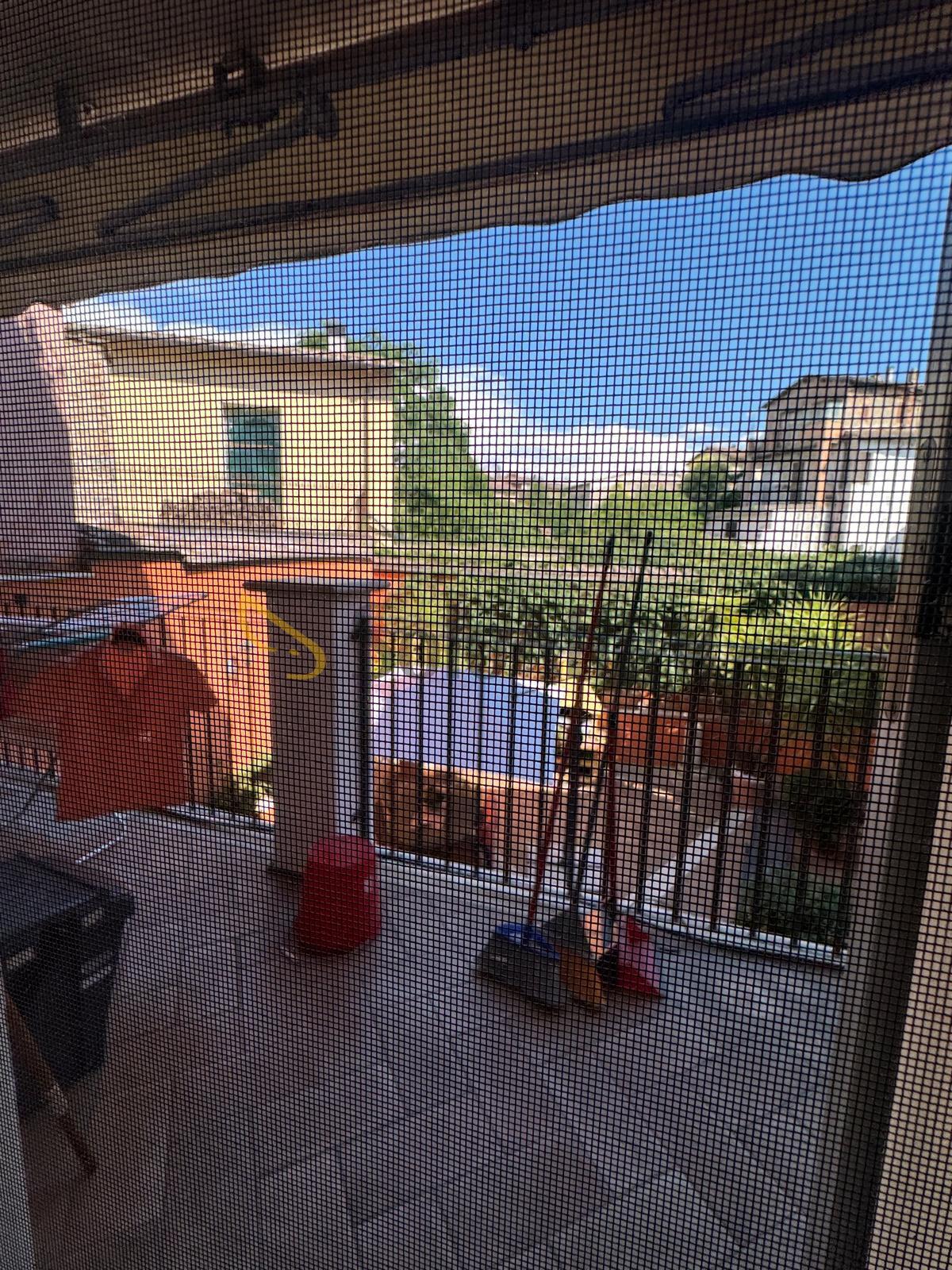 Foto annuncio 6