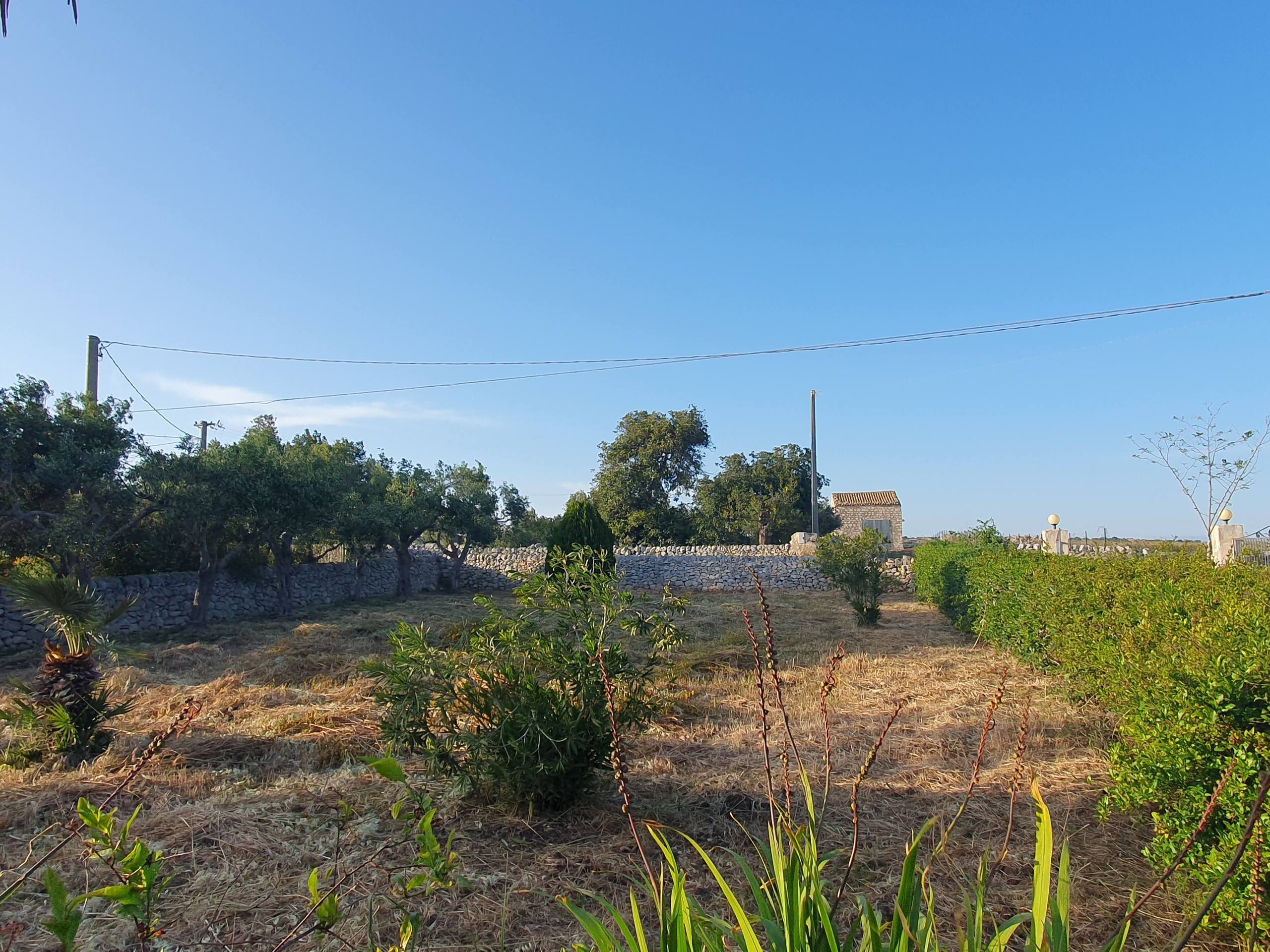 Foto annuncio 5