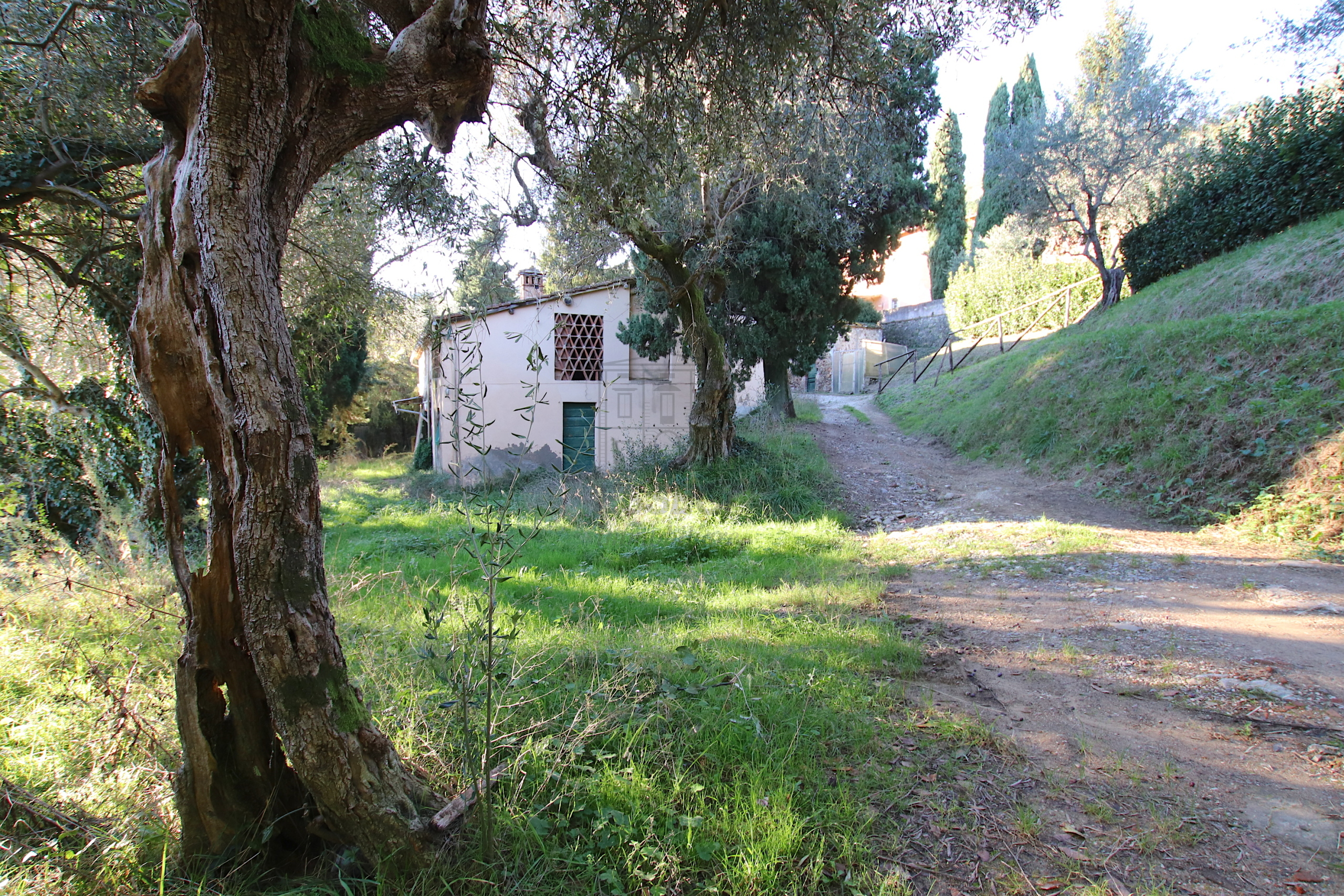 Foto annuncio 1