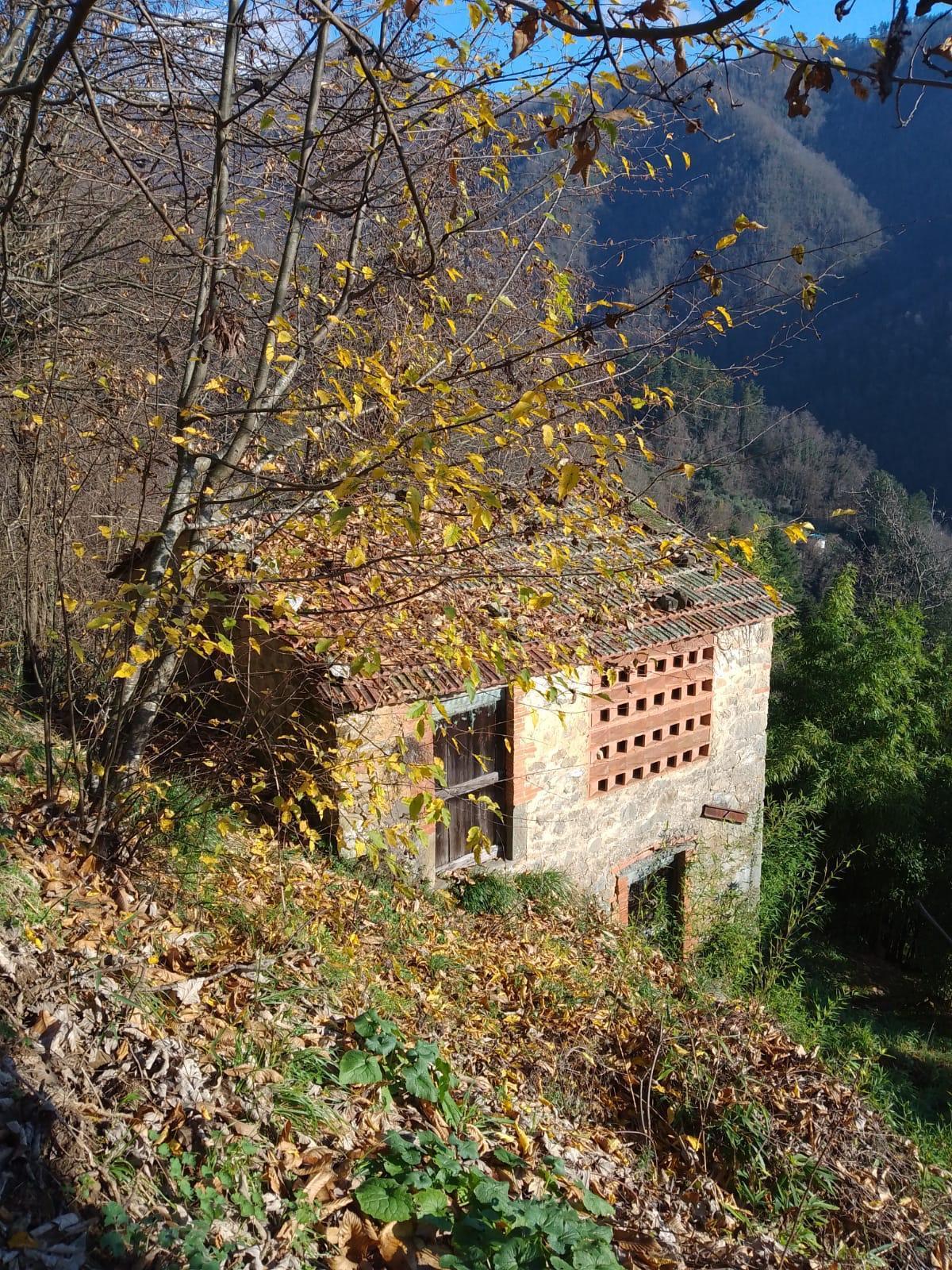 Immagine 13 di Rustico / casale in vendita  a Bagni Di Lucca