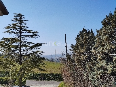 Immagine 7 di Casa indipendente in vendita  in via Olivella 45 a Monte San Vito