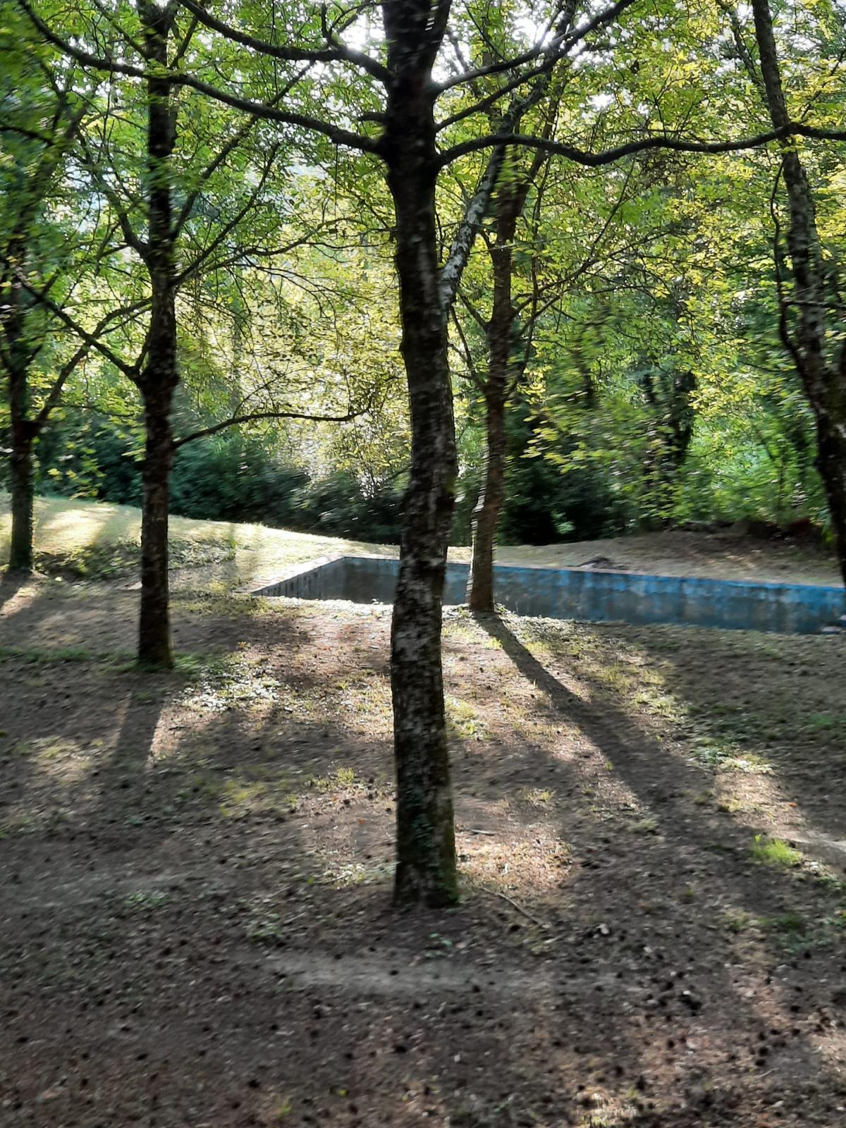 Immagine 18 di Pentalocale in vendita  in Via Verna a Chitignano