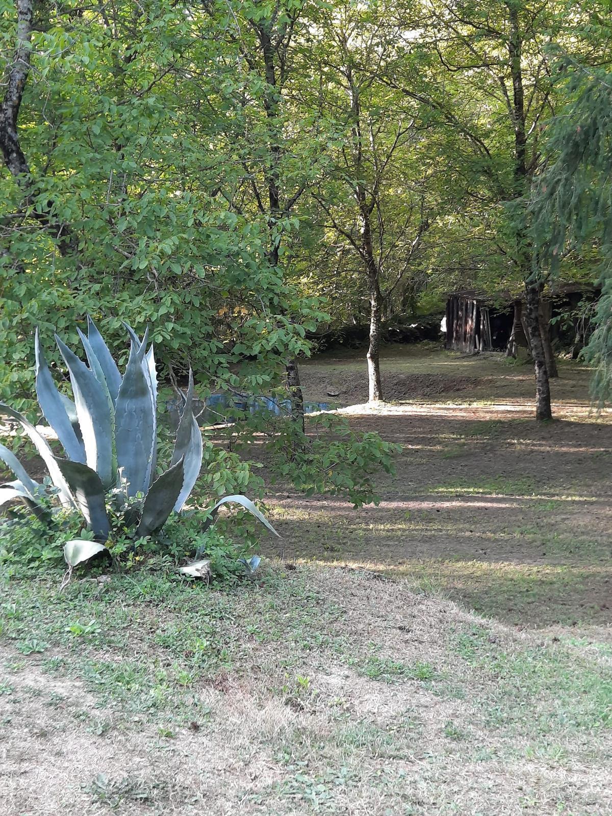 Immagine 19 di Pentalocale in vendita  in Via Verna a Chitignano