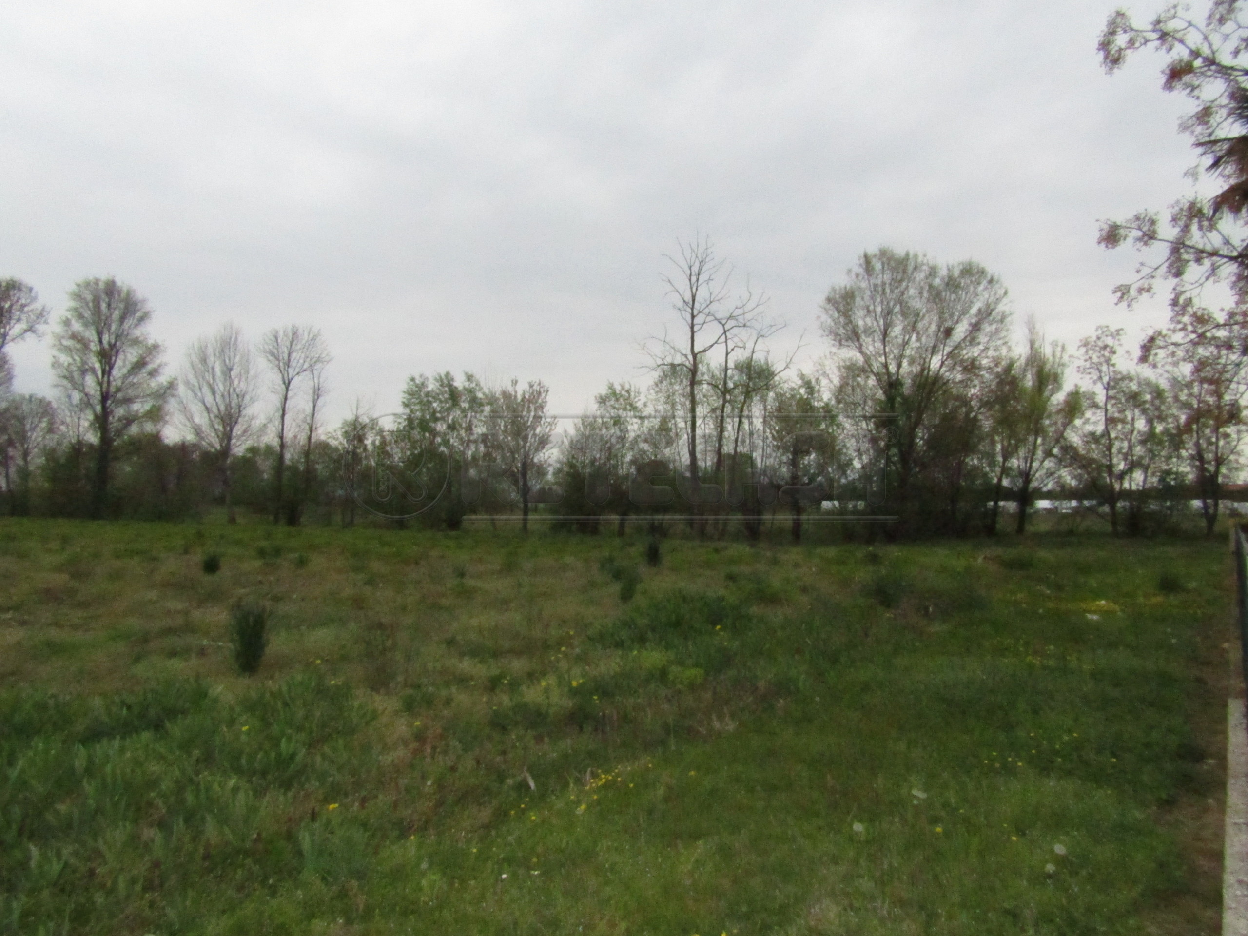 Immagine 3 di Terreno agricolo in vendita  a Santa Giustina In Colle