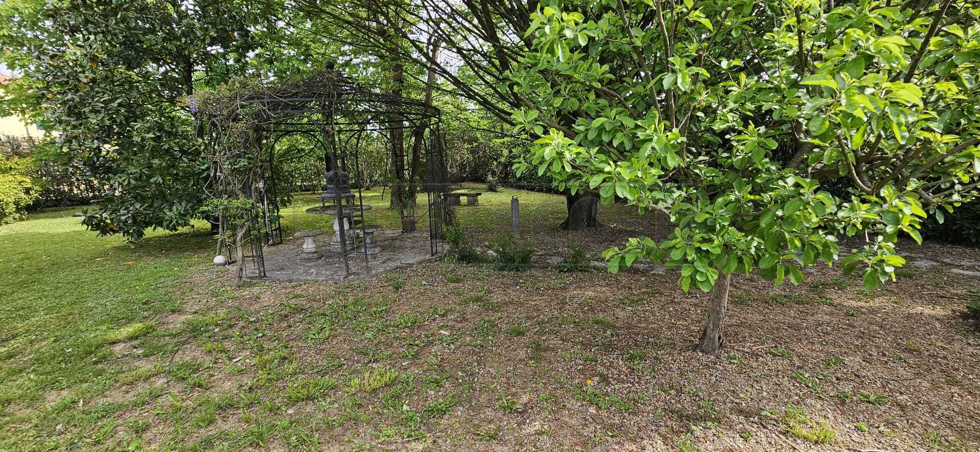 Immagine 64 di Villa in vendita  a Mirano