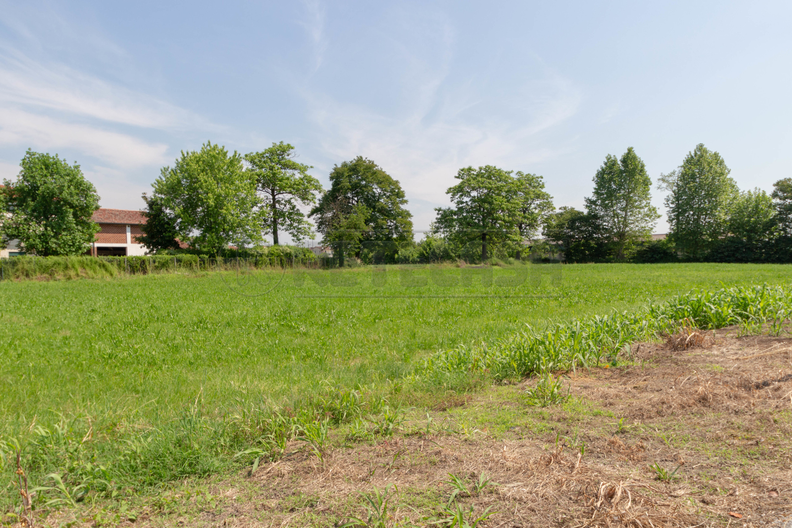 Immagine 7 di Terreno edificabile in vendita  in Via Bassanese 24 a Pozzoleone