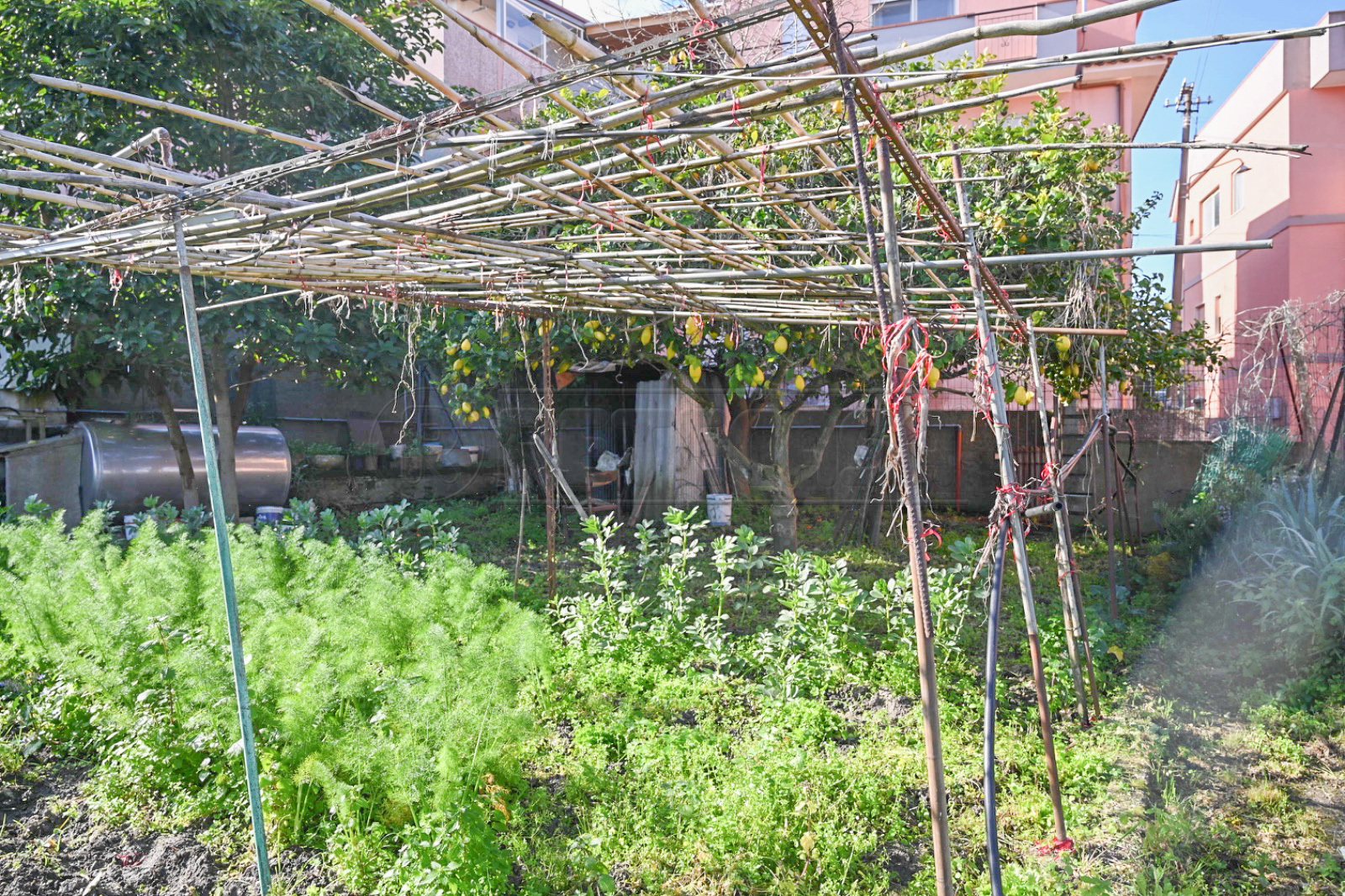 Immagine 18 di Rustico / casale in vendita  in Via San Giovanni Bosco 15 a Messina