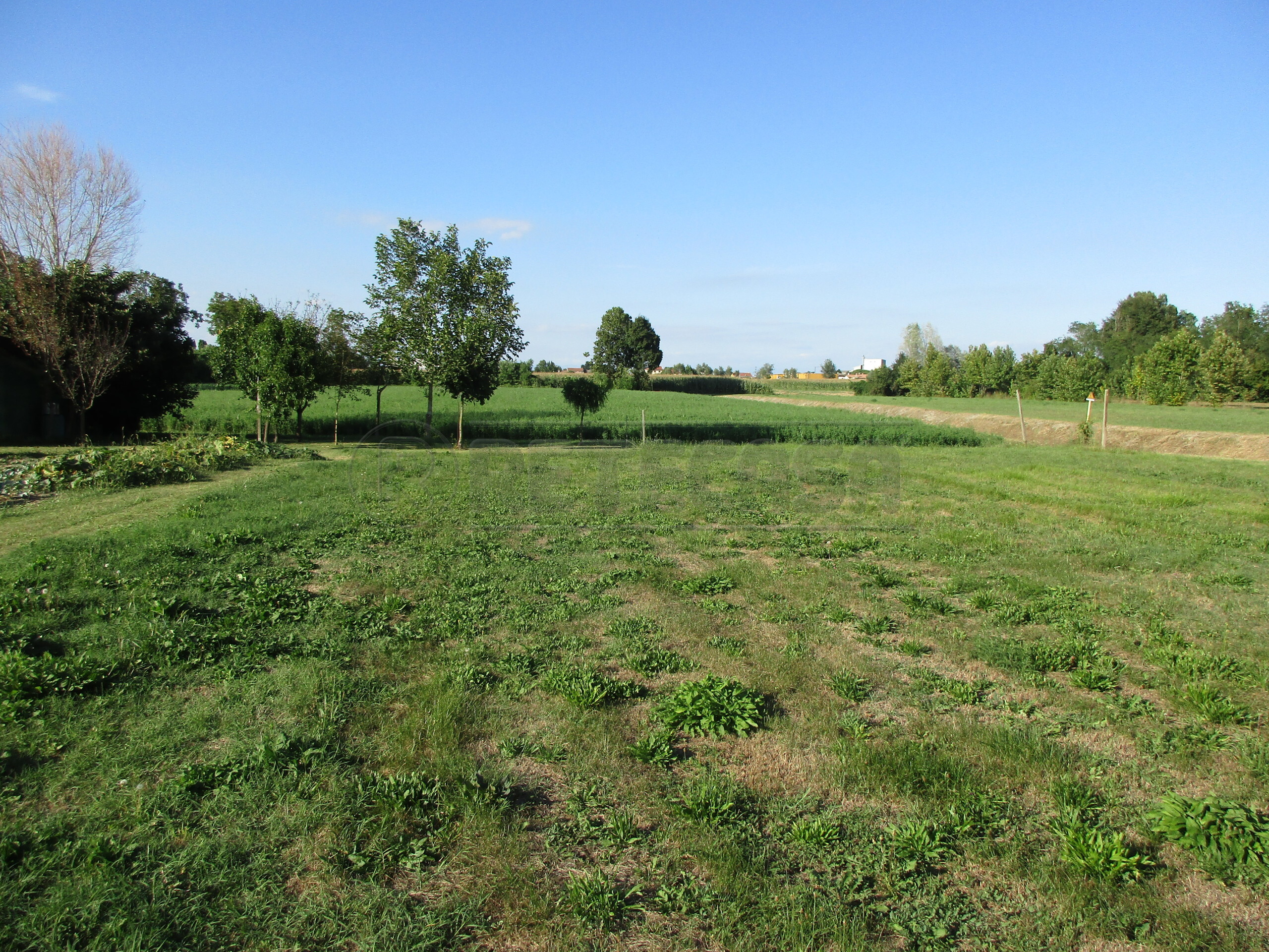 Immagine 10 di Casa indipendente in vendita  a Campodarsego