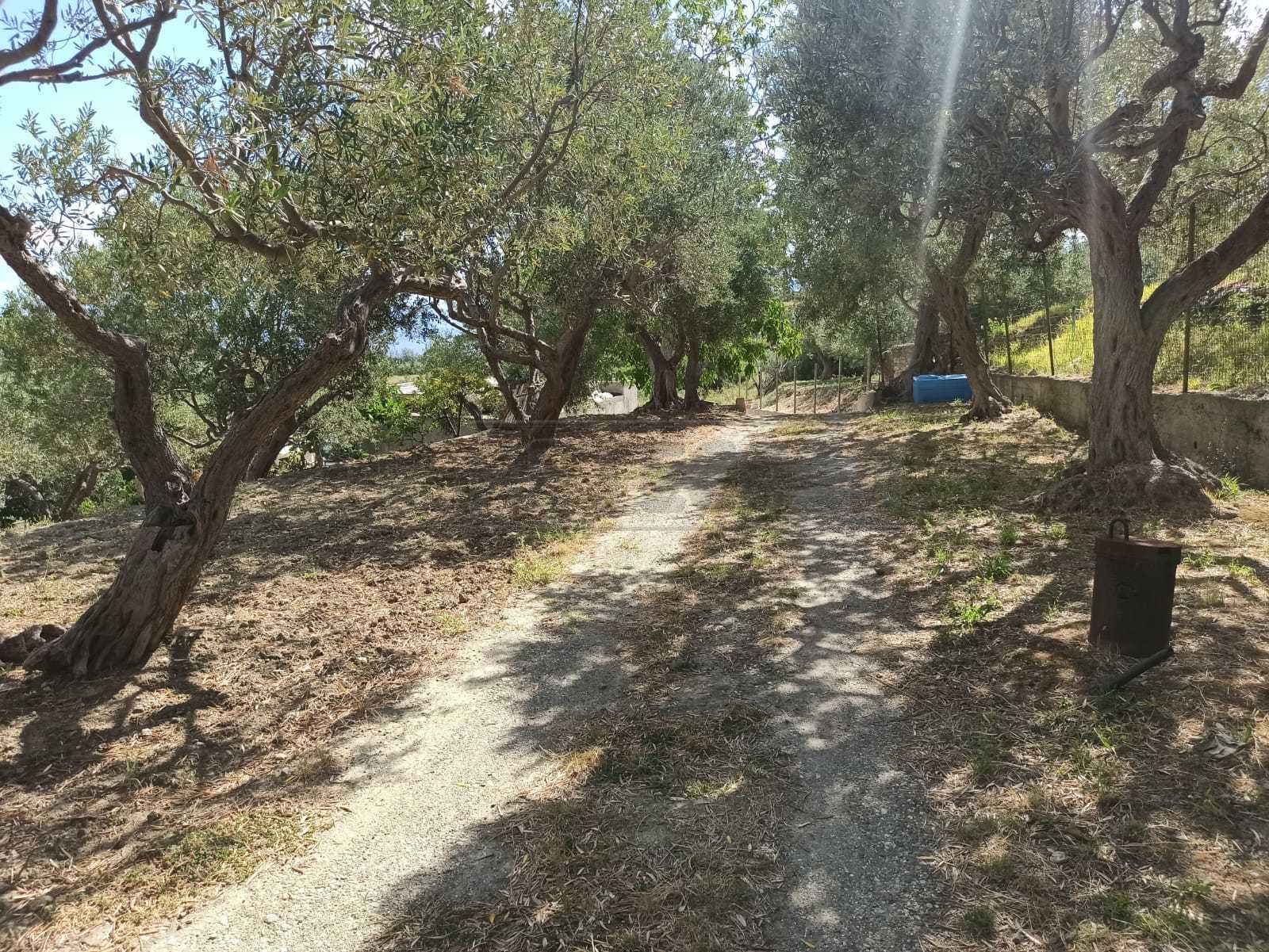 Immagine 6 di Rustico / casale in vendita  in Contrada Sant'Anna 39 a Messina