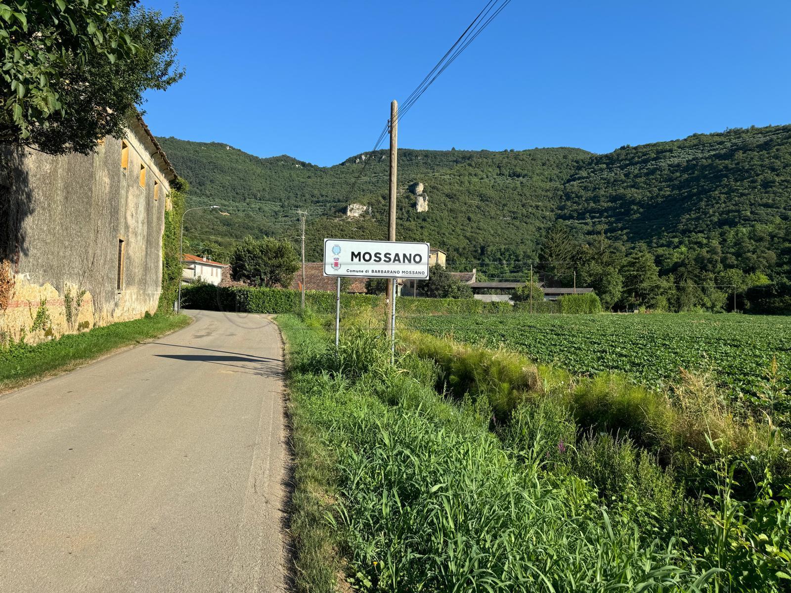 Immagine 8 di Terreno edificabile in vendita  in Via Giuseppe Garibladi a Barbarano Mossano