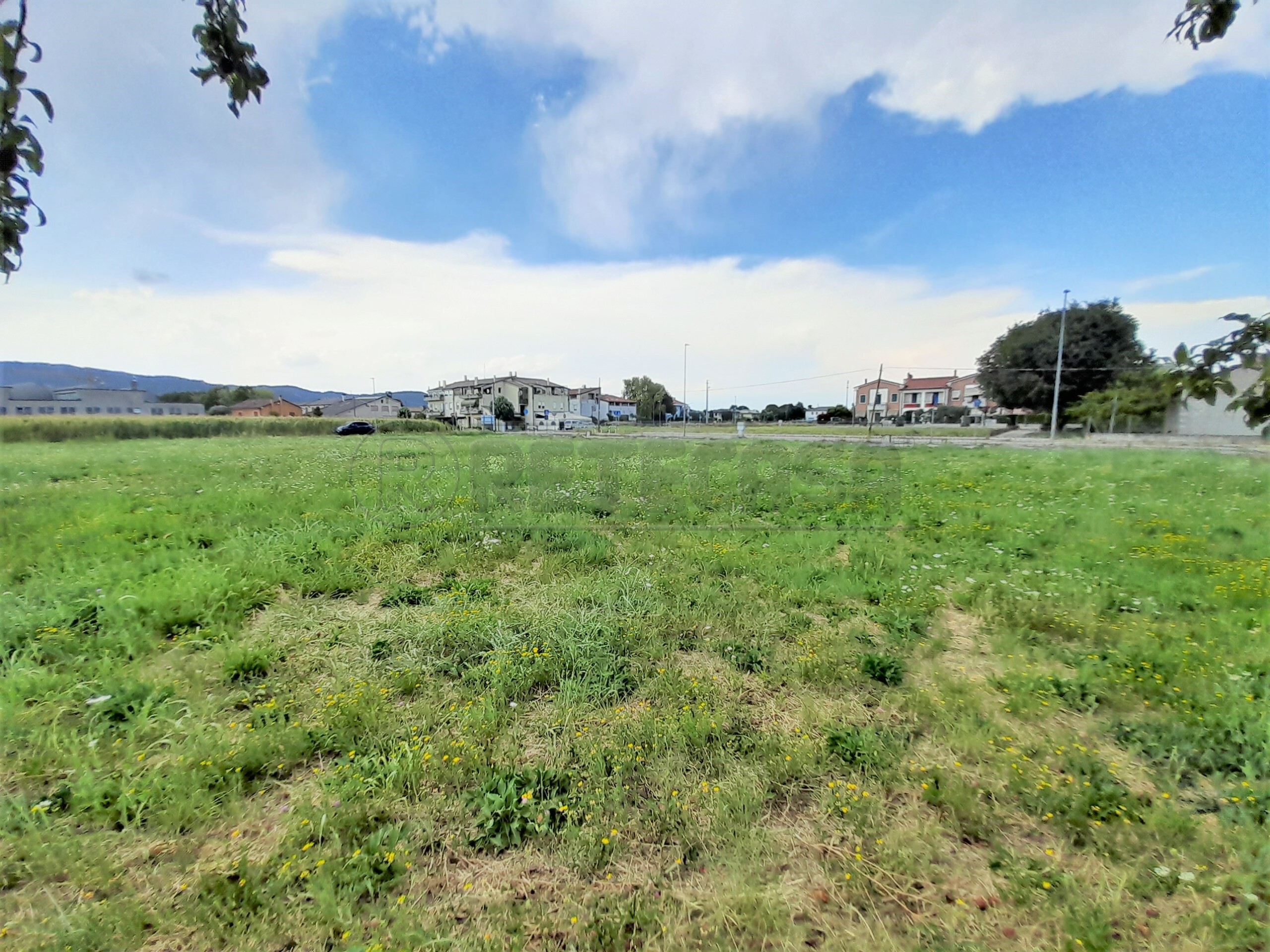 Immagine 1 di Terreno edificabile in vendita  a Castegnero